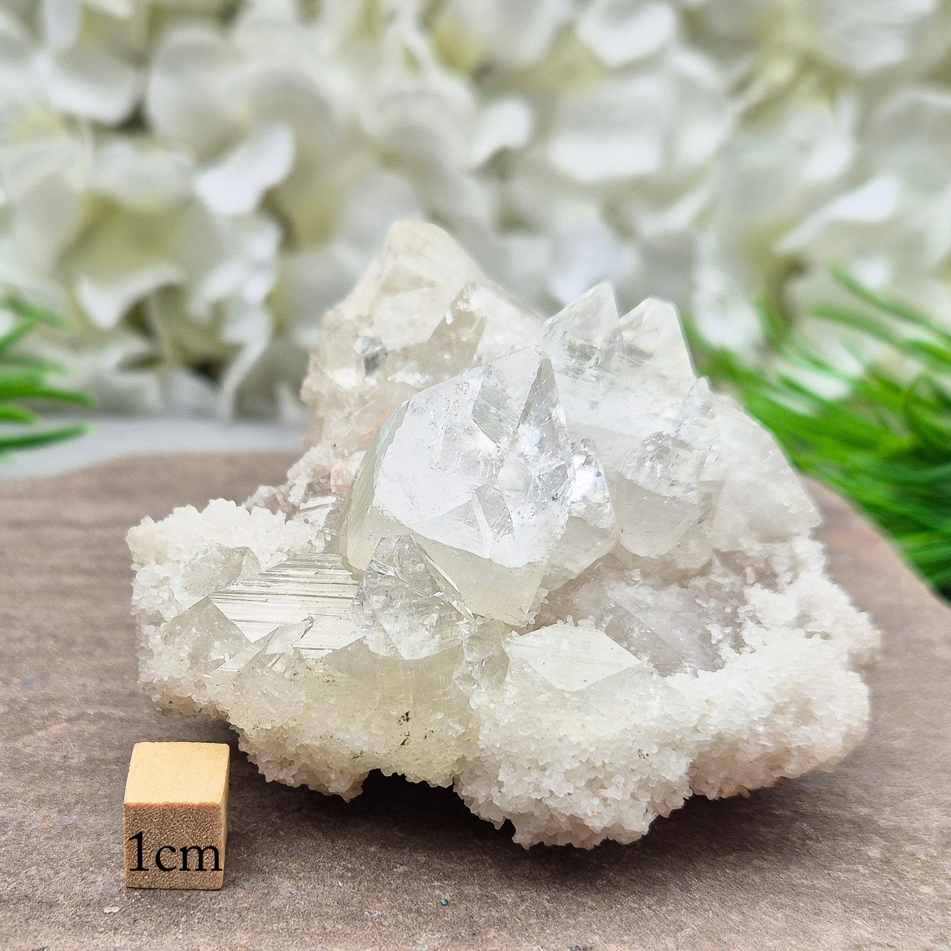 This stunning Apophyllite crystal cluster from India features clear and milky white points with intact Apophyllite pyramids as part of the crystals on matrix. Does sit a slight angle.