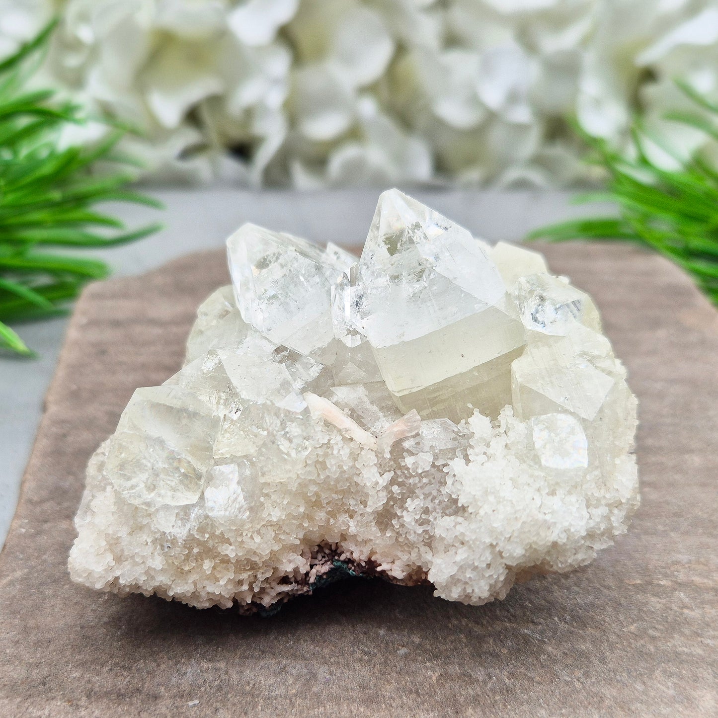 This stunning Apophyllite crystal cluster from India features clear and milky white points with intact Apophyllite pyramids as part of the crystals on matrix. Does sit a slight angle.