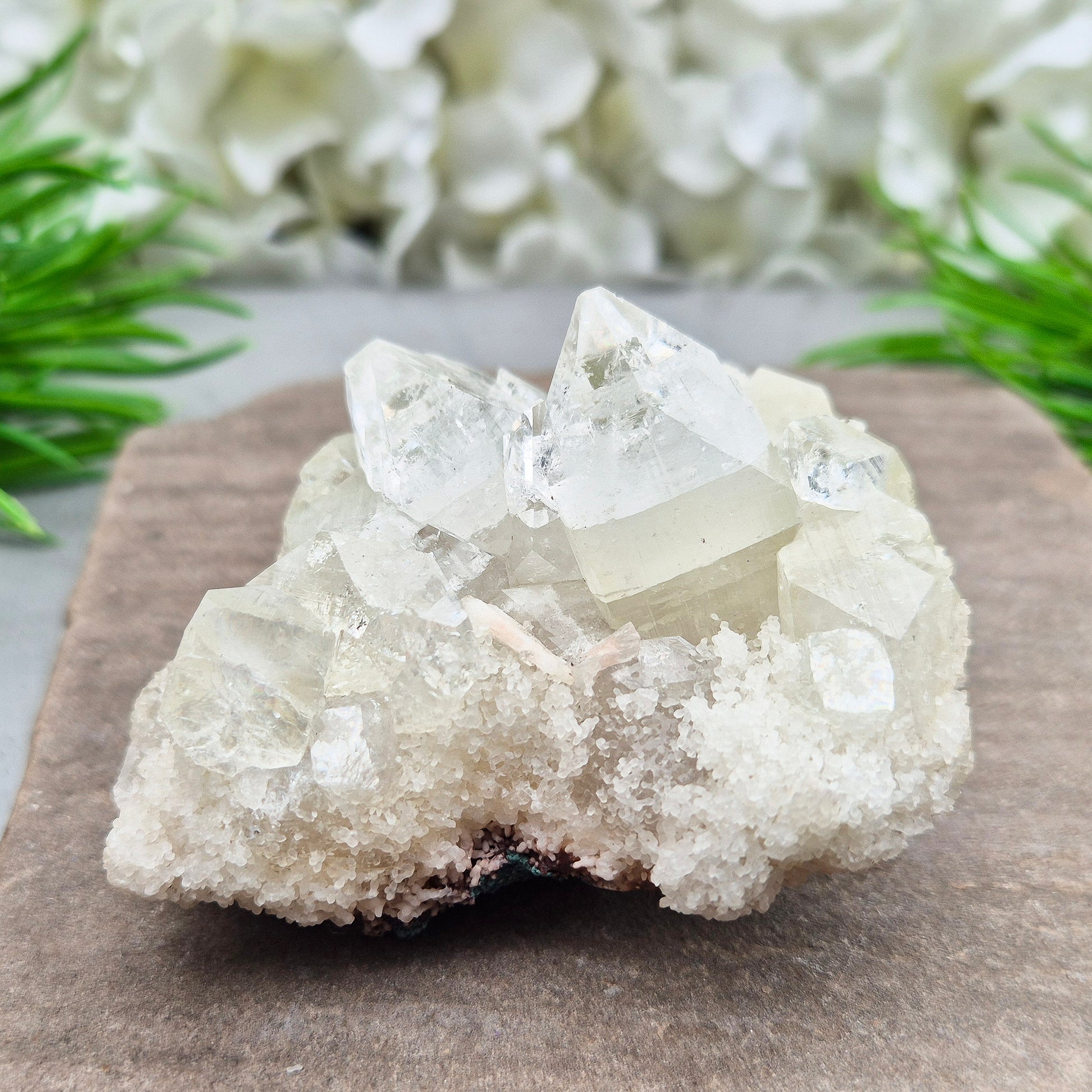 This stunning Apophyllite crystal cluster from India features clear and milky white points with intact Apophyllite pyramids as part of the crystals on matrix. Does sit a slight angle.