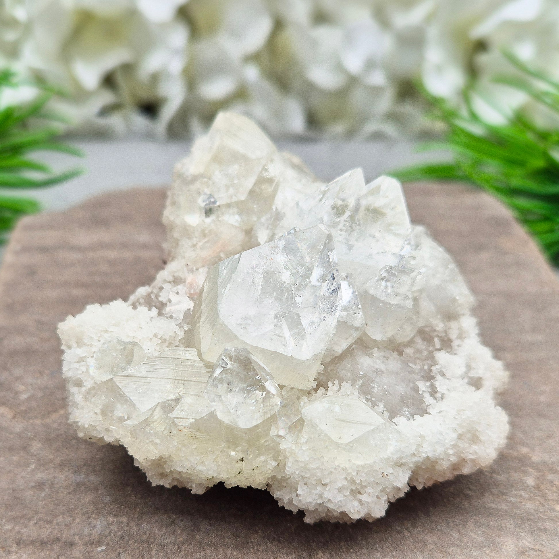 This stunning Apophyllite crystal cluster from India features clear and milky white points with intact Apophyllite pyramids as part of the crystals on matrix. Does sit a slight angle.