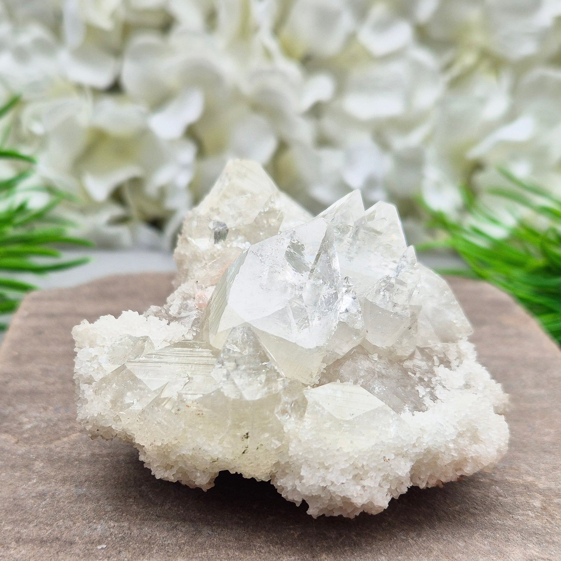 This stunning Apophyllite crystal cluster from India features clear and milky white points with intact Apophyllite pyramids as part of the crystals on matrix. Does sit a slight angle.
