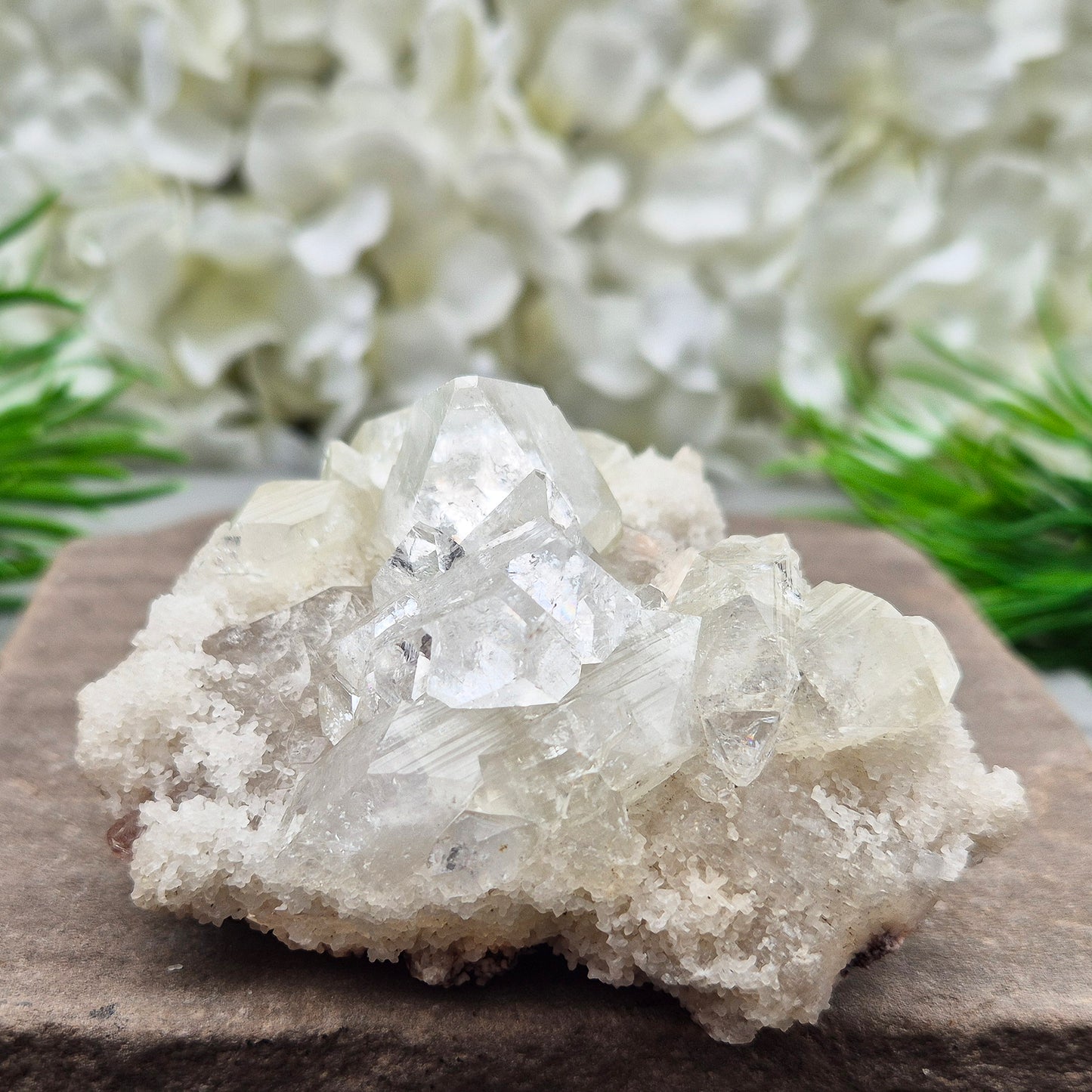 Apophyllite Cluster - Natural | Crystal Display Piece or Gift | High Vibration