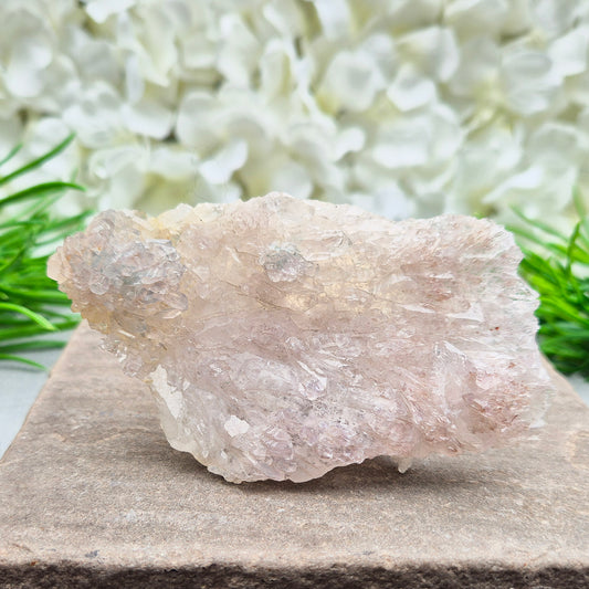 Angel Wing Amethyst (Shell Amethyst), Natural | Spiritual Insight | Crystal Home Decor