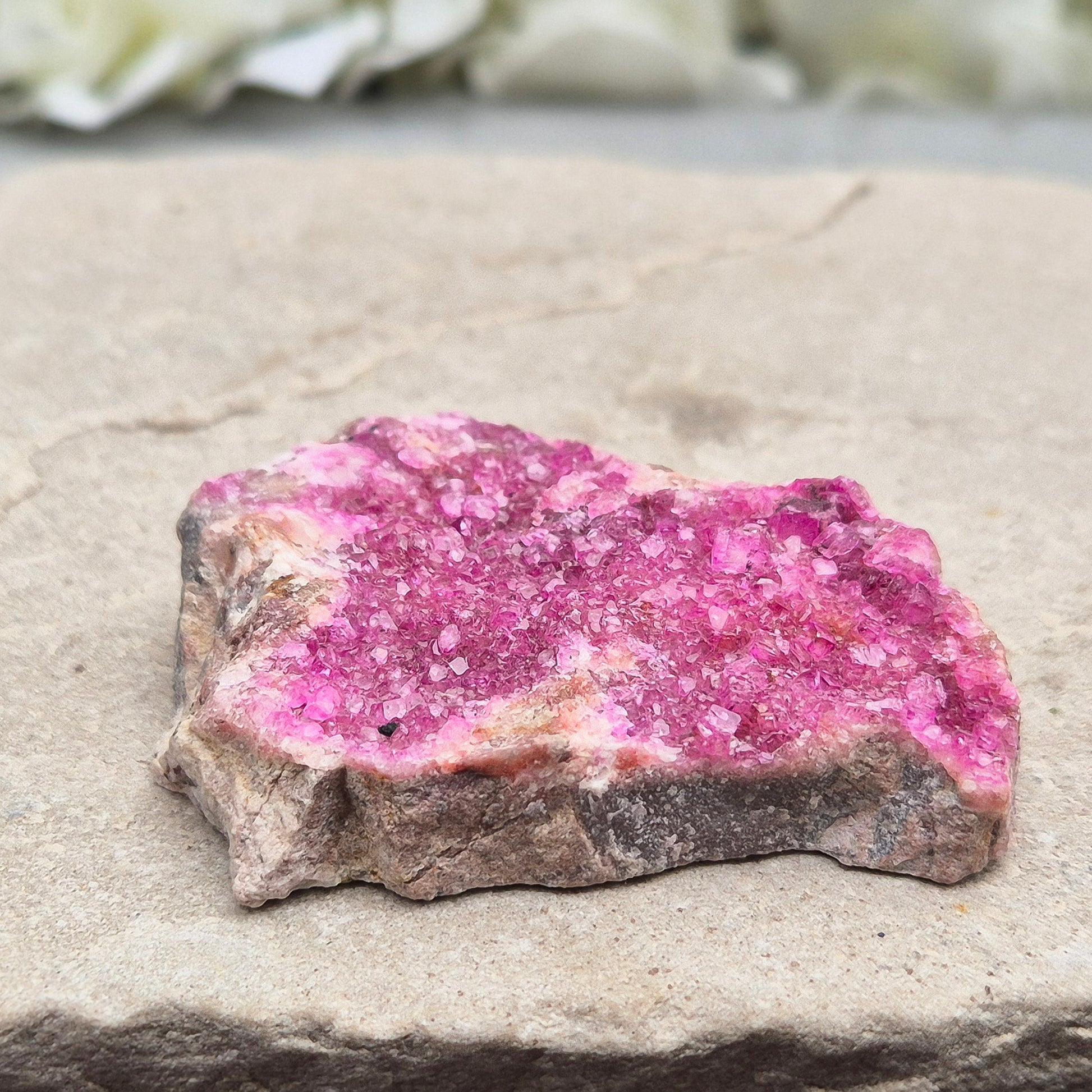 This vibrant Cobalto Calcite Cluster features sparkling fuchsia-pink crystals. This crystal is deeply connected to the heart’s energy—supporting emotional healing, loving awareness, and gentle transformation.