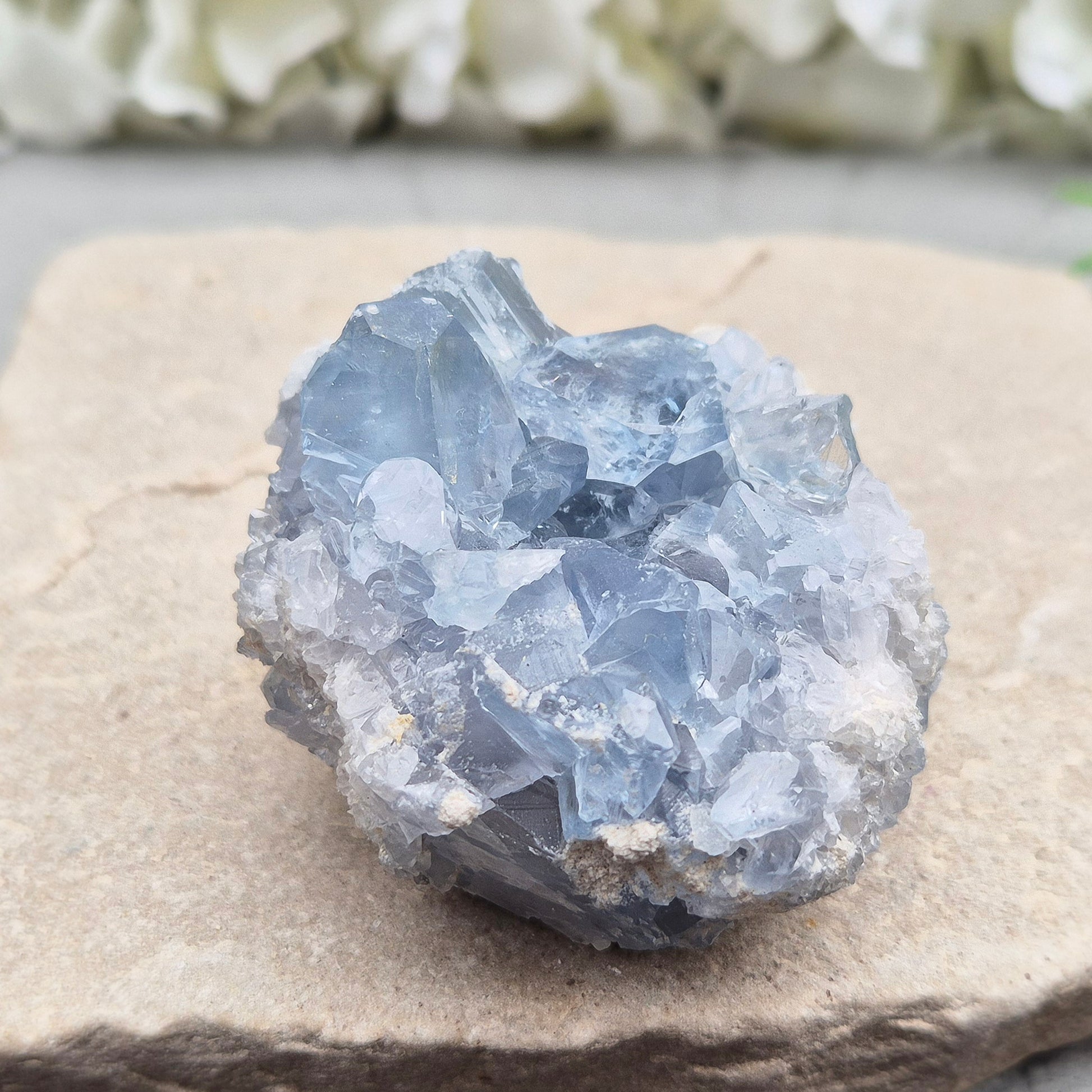 Celestite Crystal Cluster from Madagascar. This beautiful cluster features sparkling sky-blue crystals on a natural matrix. 