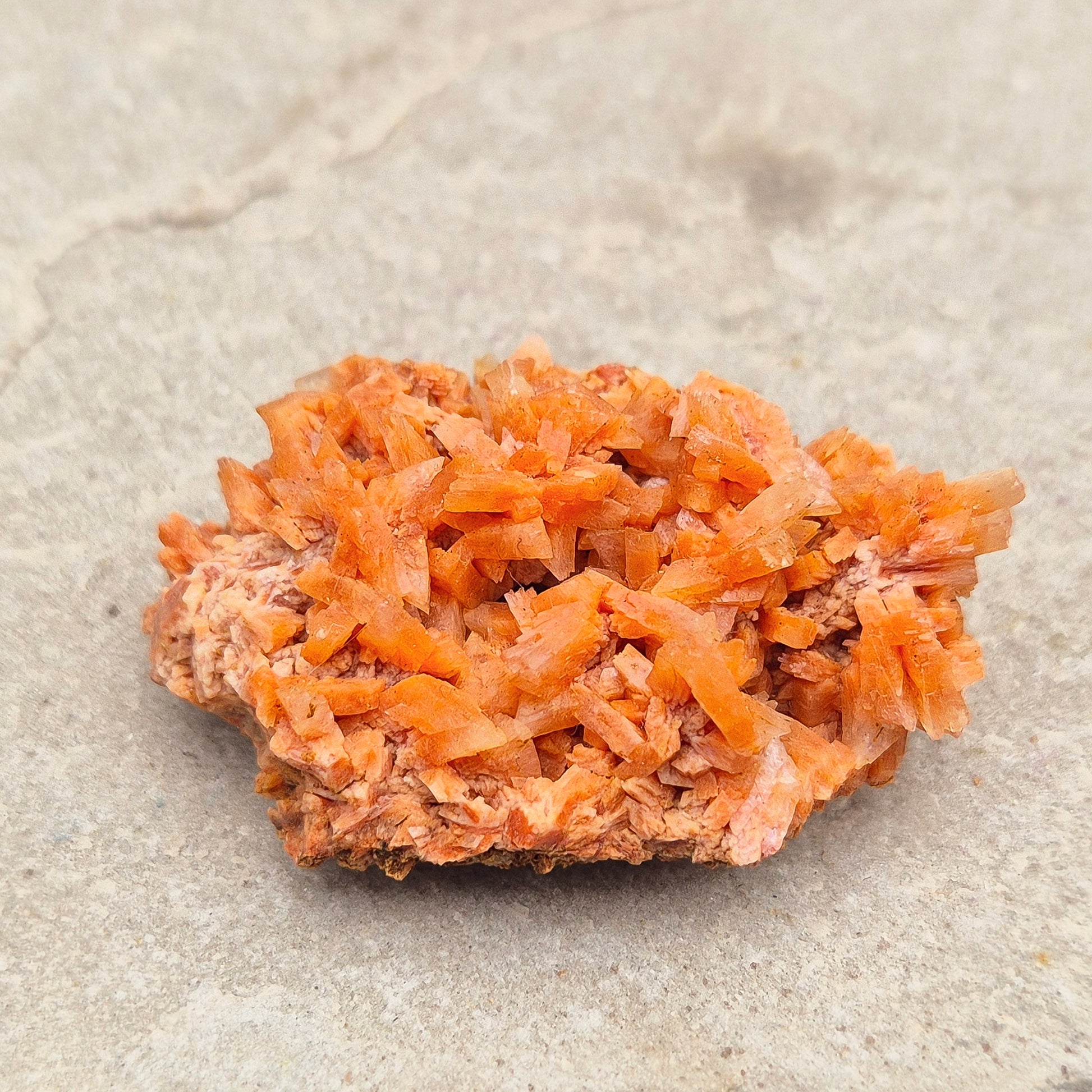 This vibrant Red Heulandite cluster from India showcases naturally formed microcrystalline quartz in rich red tones. Its a supportive crystal for emotional balance, spiritual growth, and intuitive work. 