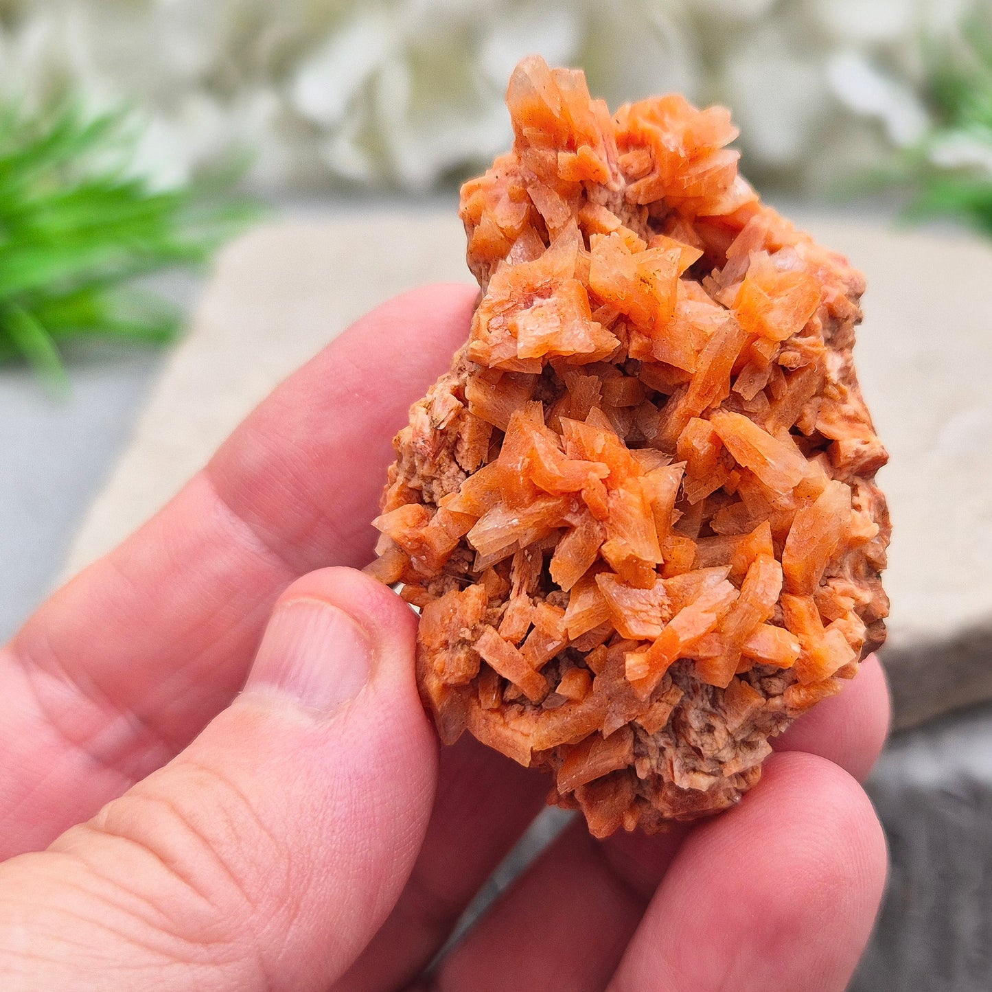 This vibrant Red Heulandite cluster from India showcases naturally formed microcrystalline quartz in rich red tones. Its a supportive crystal for emotional balance, spiritual growth, and intuitive work. 