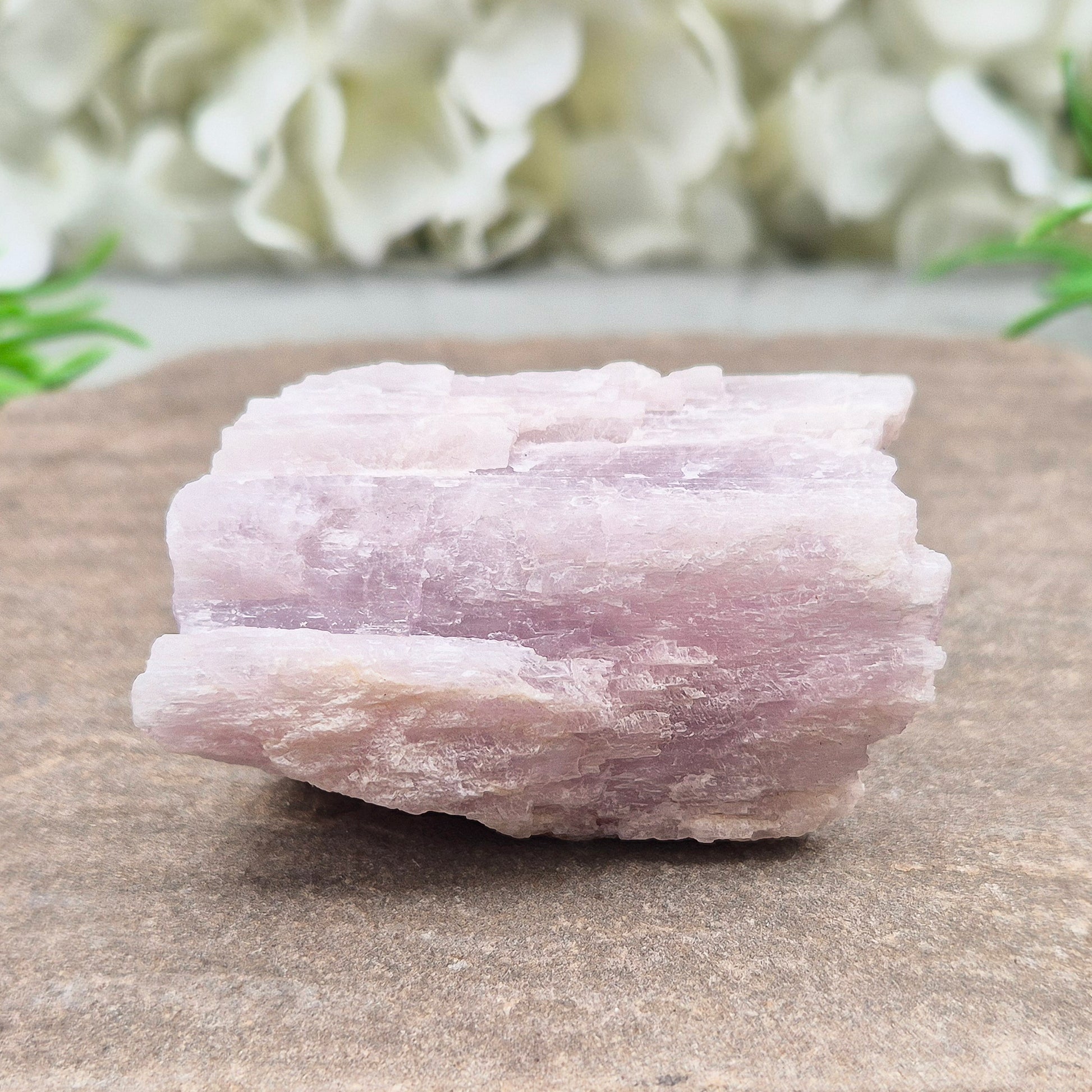 Natural Kunzite Crystal from Brazil. This elegant piece features a soft pink-lilac hue with a lovely shiny lustre. Its gentle, high-vibration energy encourages love, peace, and emotional balance