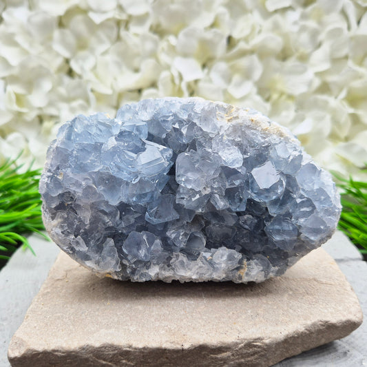 Celestite Crystal Cluster from Madagascar. This beautiful cluster shows sparkling sky-blue crystals on a natural matrix. The base is softly rounded but still sits well on a flat surface.