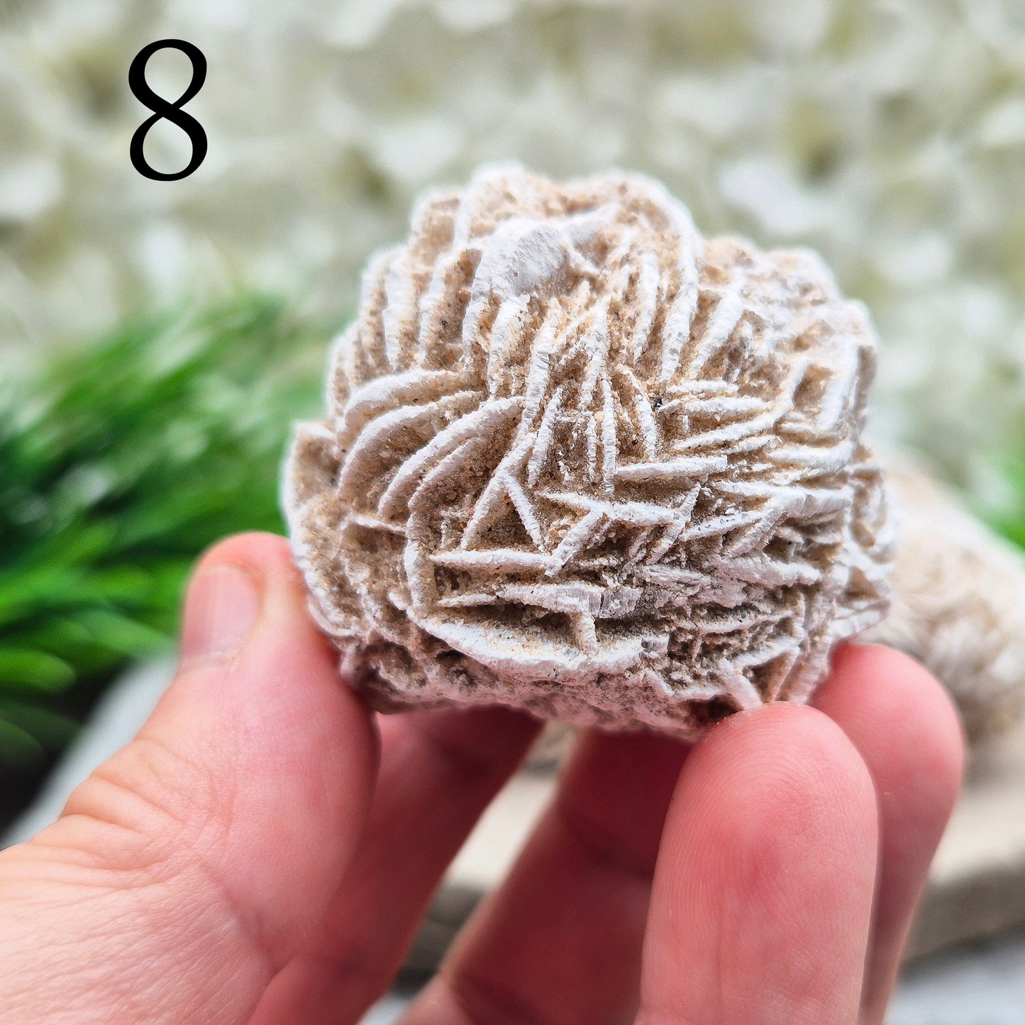 Desert Rose (Selenite) from Mexico. Desert Rose is a natural formation of selenite, a variety of gypsum, named for its distinctive rose-like appearance. This unique crystal is formed when selenite crystals grow around sand grains, creating rosette-shaped clusters that resemble rose petals. 