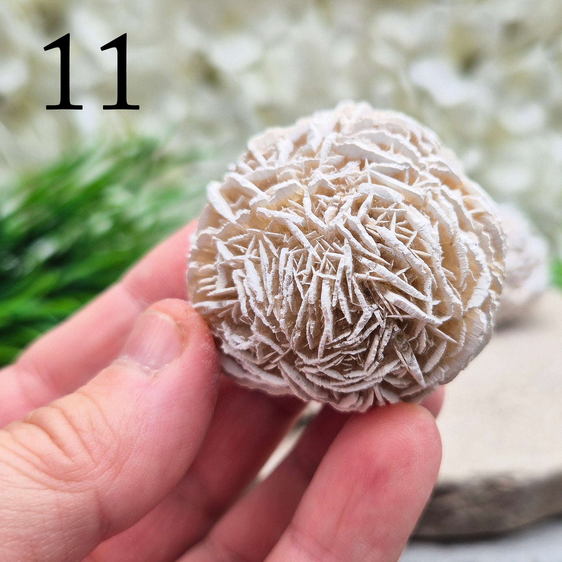 Desert Rose (Selenite) from Mexico. Desert Rose is a natural formation of selenite, a variety of gypsum, named for its distinctive rose-like appearance. This unique crystal is formed when selenite crystals grow around sand grains, creating rosette-shaped clusters that resemble rose petals. 
