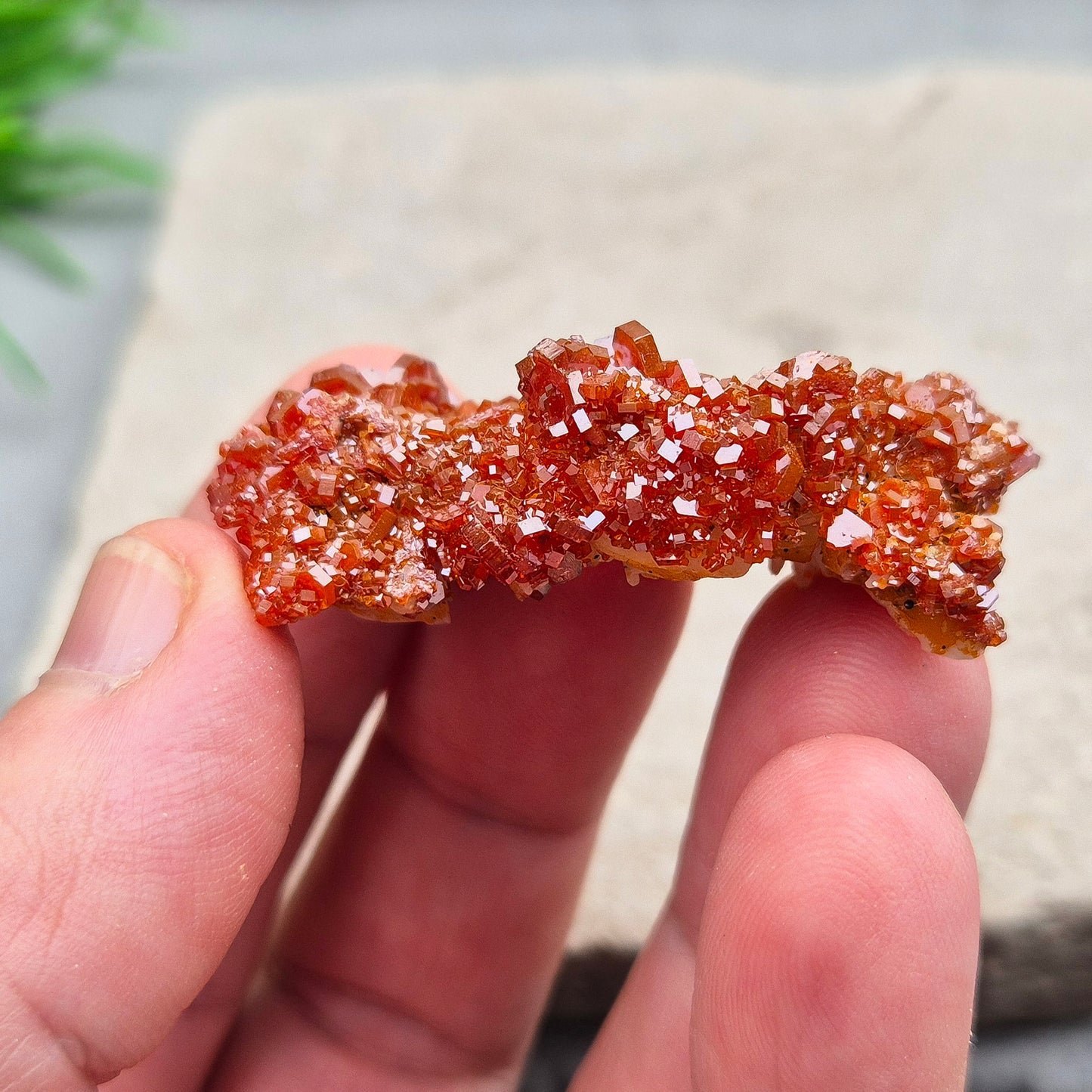 Vanadinite (Vanadite) on Baryte Crystal Cluster. This sparkling cluster from Morocco features fiery red-orange Vanadinite crystals naturally formed on a pale golden Baryte base. 