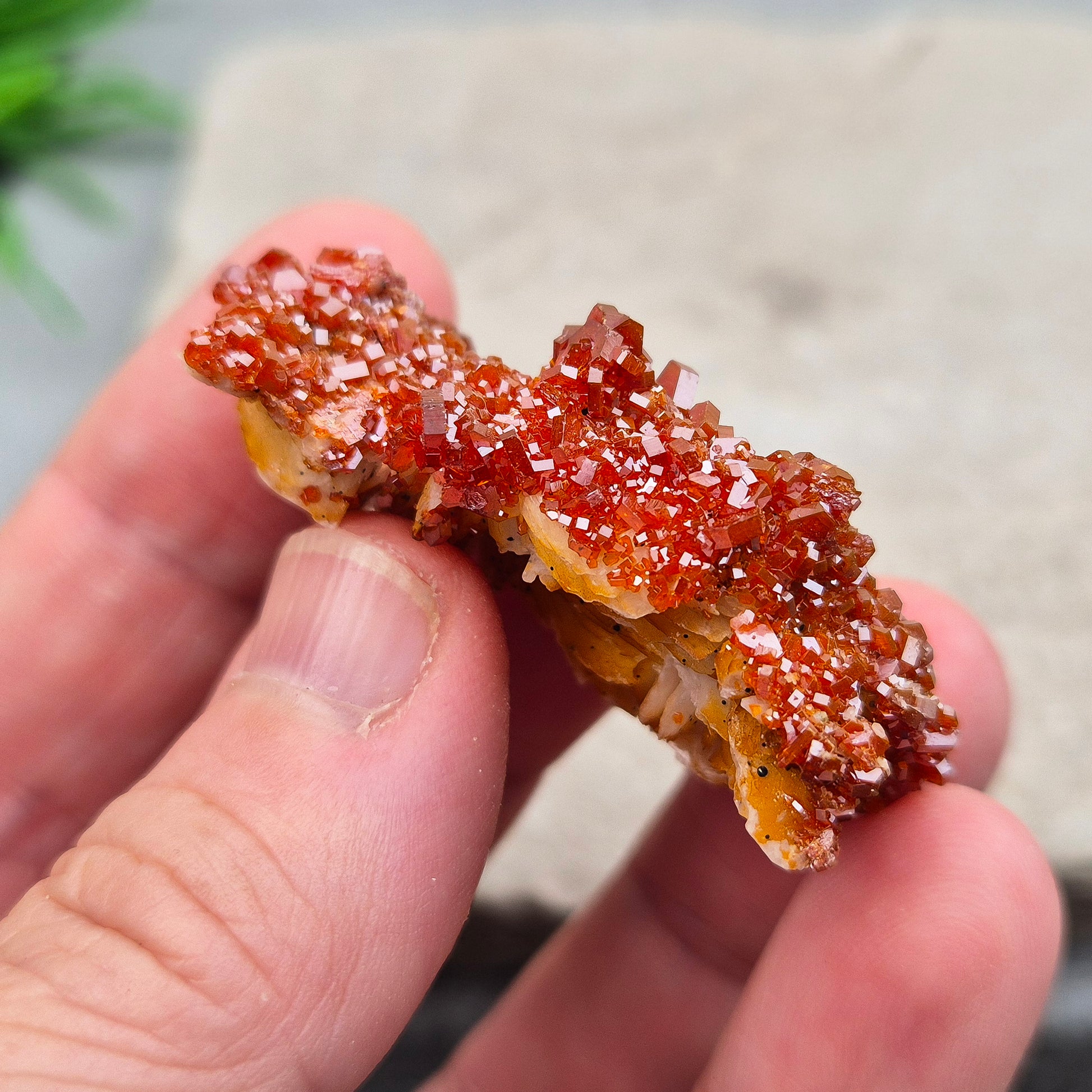 Vanadinite (Vanadite) on Baryte Crystal Cluster. This sparkling cluster from Morocco features fiery red-orange Vanadinite crystals naturally formed on a pale golden Baryte base. 