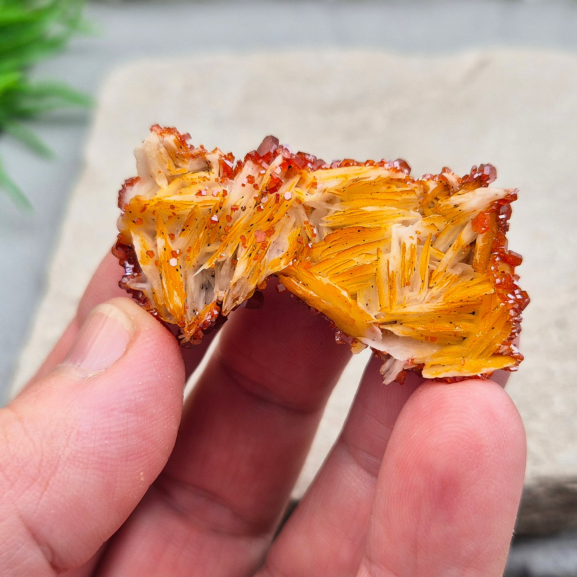 Vanadinite (Vanadite) on Baryte Crystal Cluster. This sparkling cluster from Morocco features fiery red-orange Vanadinite crystals naturally formed on a pale golden Baryte base. 