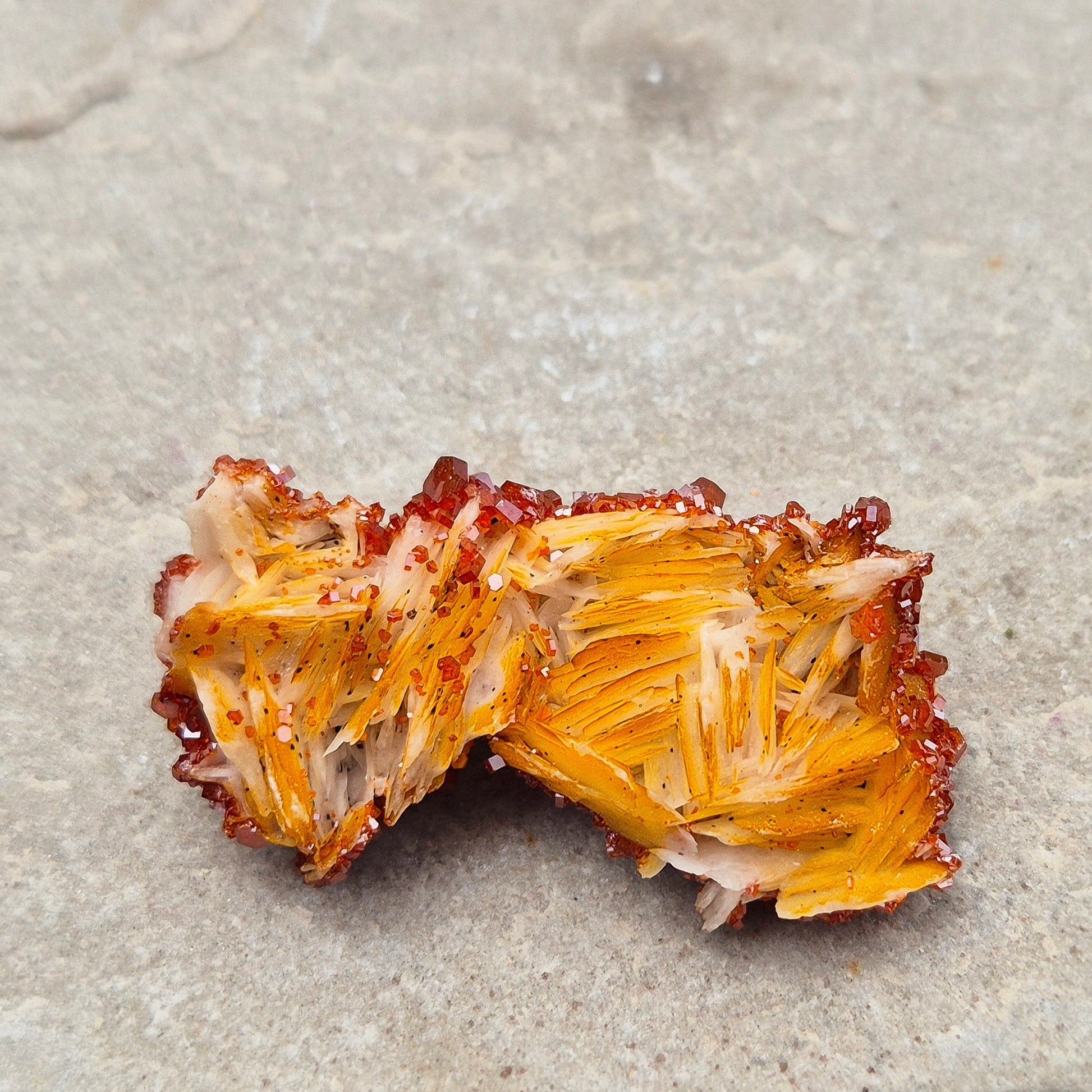Vanadinite (Vanadite) on Baryte Crystal Cluster. This sparkling cluster from Morocco features fiery red-orange Vanadinite crystals naturally formed on a pale golden Baryte base. 