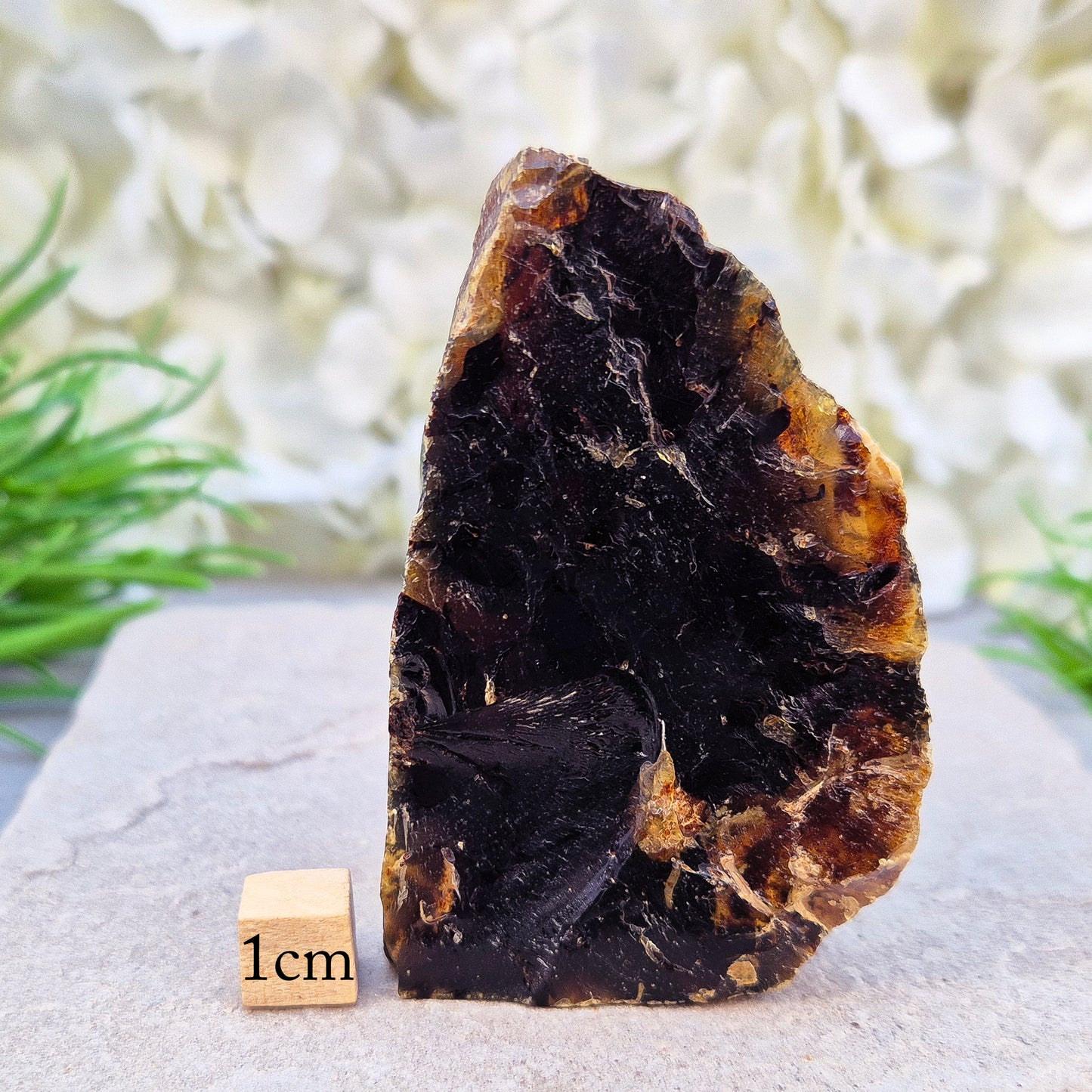 Blue Amber Crystal, Blue Fluorescent Amber, Rare Dominican Republic Fossilised Resin