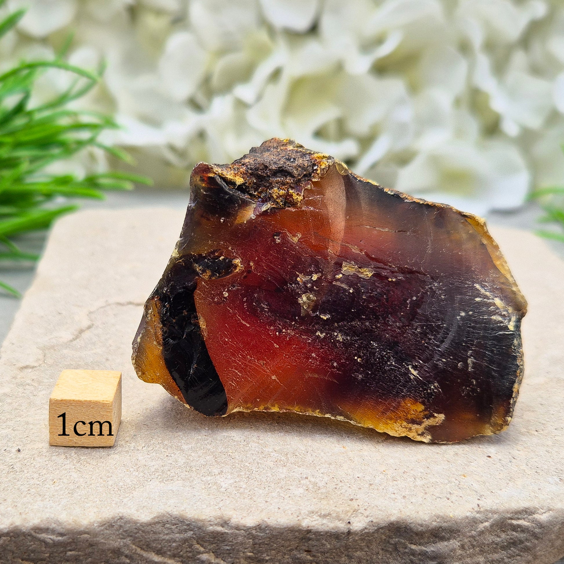 Rare Blue Amber from the Dominican Republic with stunning blue fluorescence. A unique fossil resin offering uplifting, calming energy support.