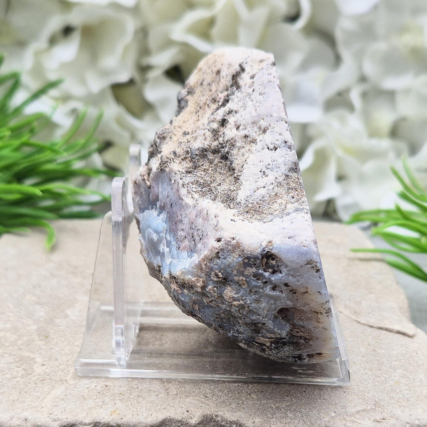 Dugway Agate Half Geode – USA, with Stand Included | Crystal Collectors Display Piece