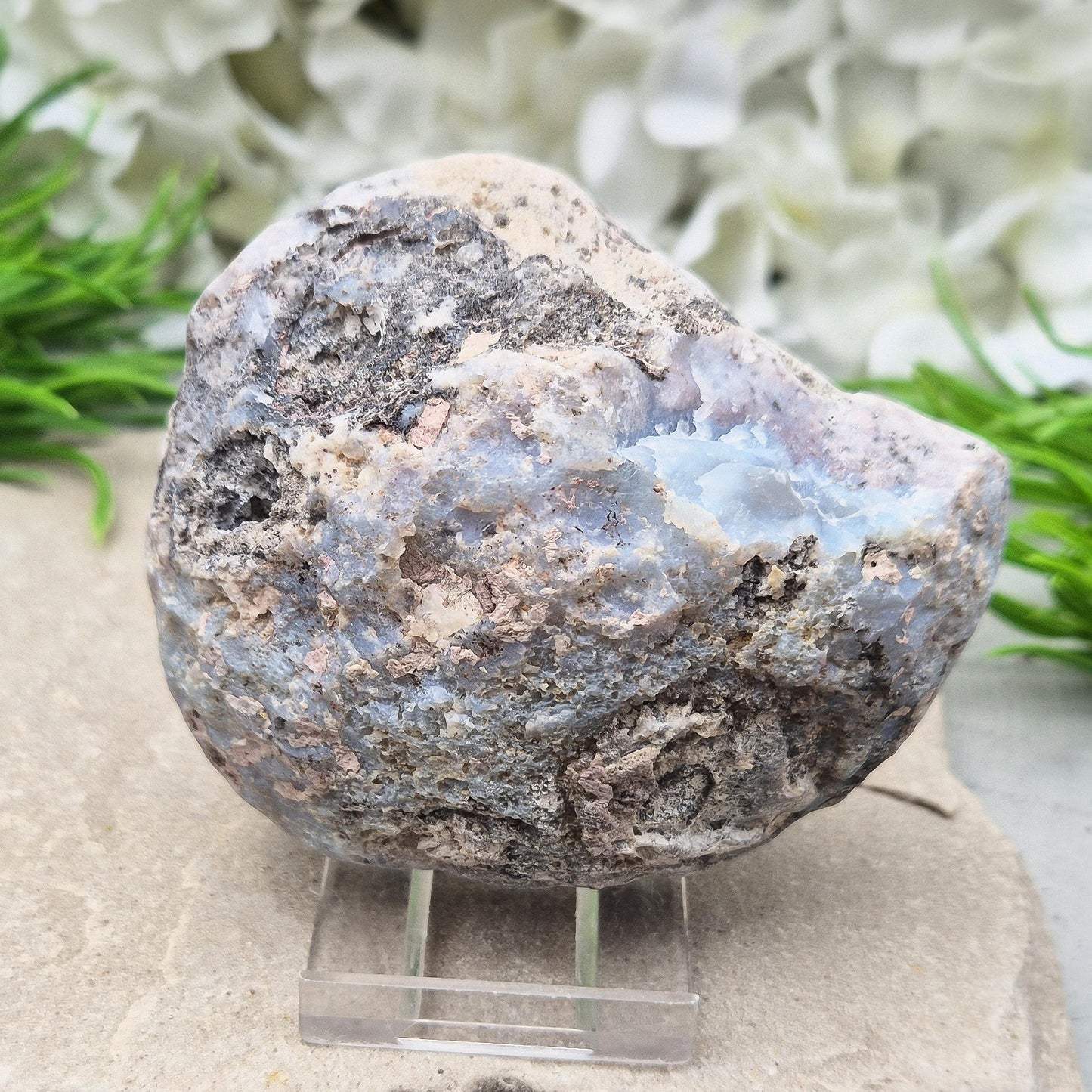 Dugway Agate Half Geode – USA, with Stand Included | Crystal Collectors Display Piece