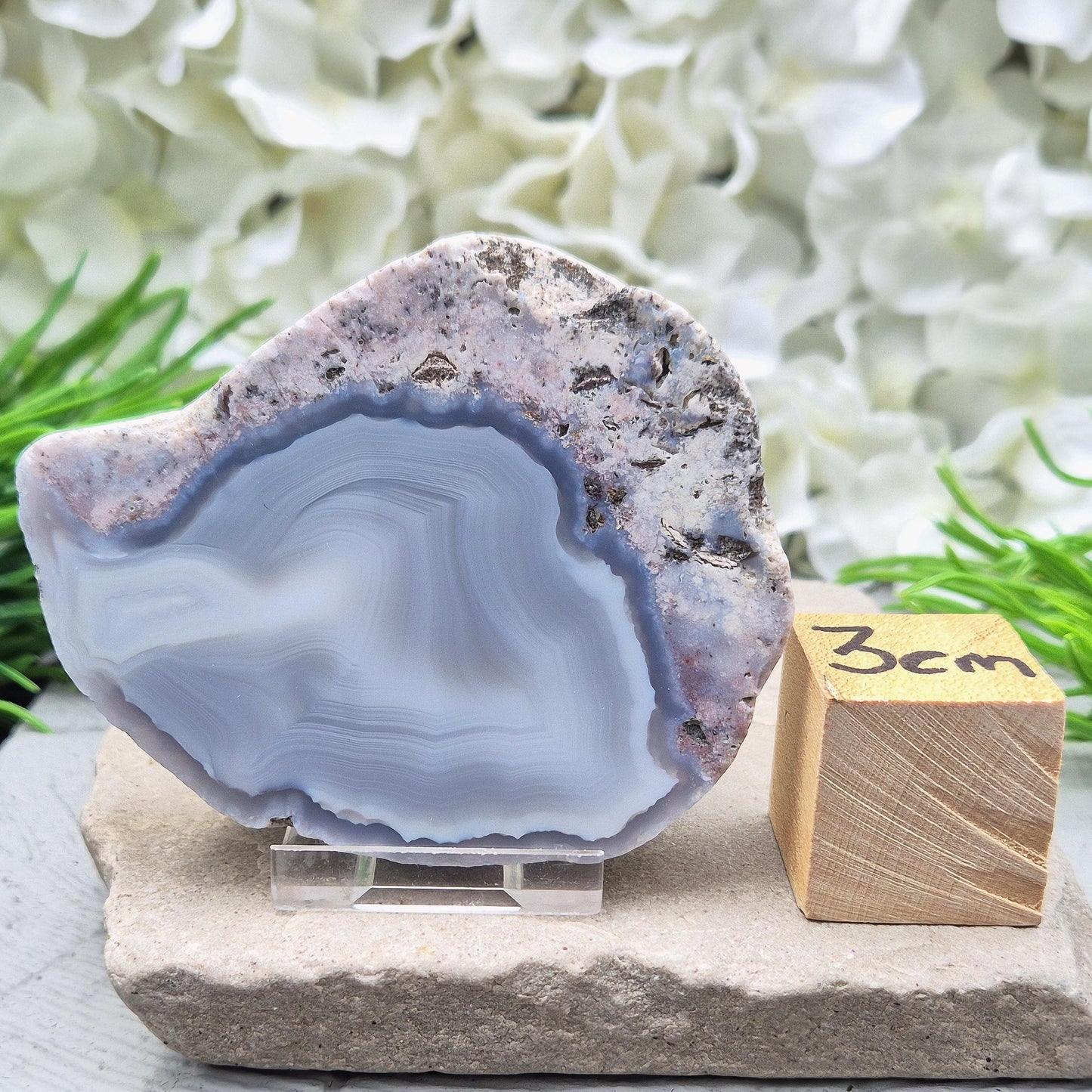 Dugway Agate Half Geode – USA, with Stand Included | Crystal Collectors Display Piece