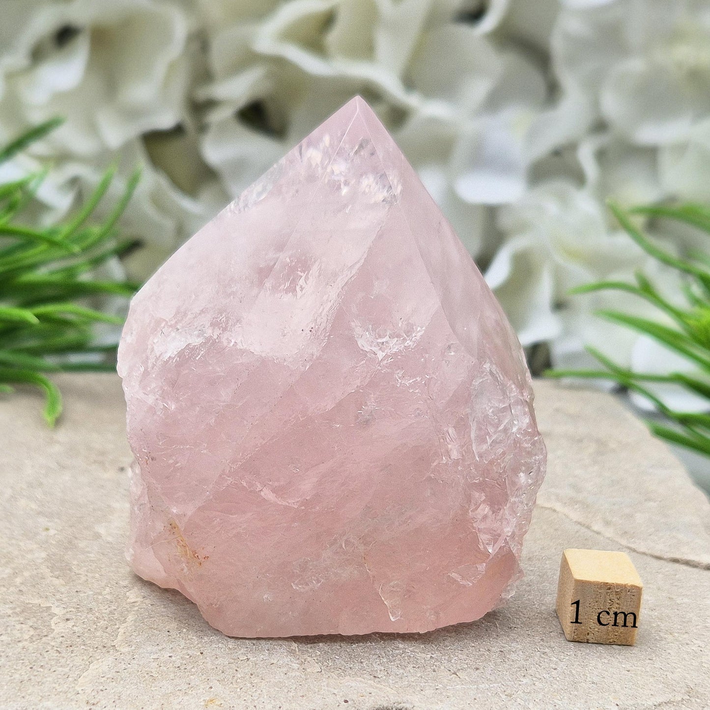 Rose Quartz Crystal, Part Polished, Part Natural, Self Standing Home Decor Display Gemstone