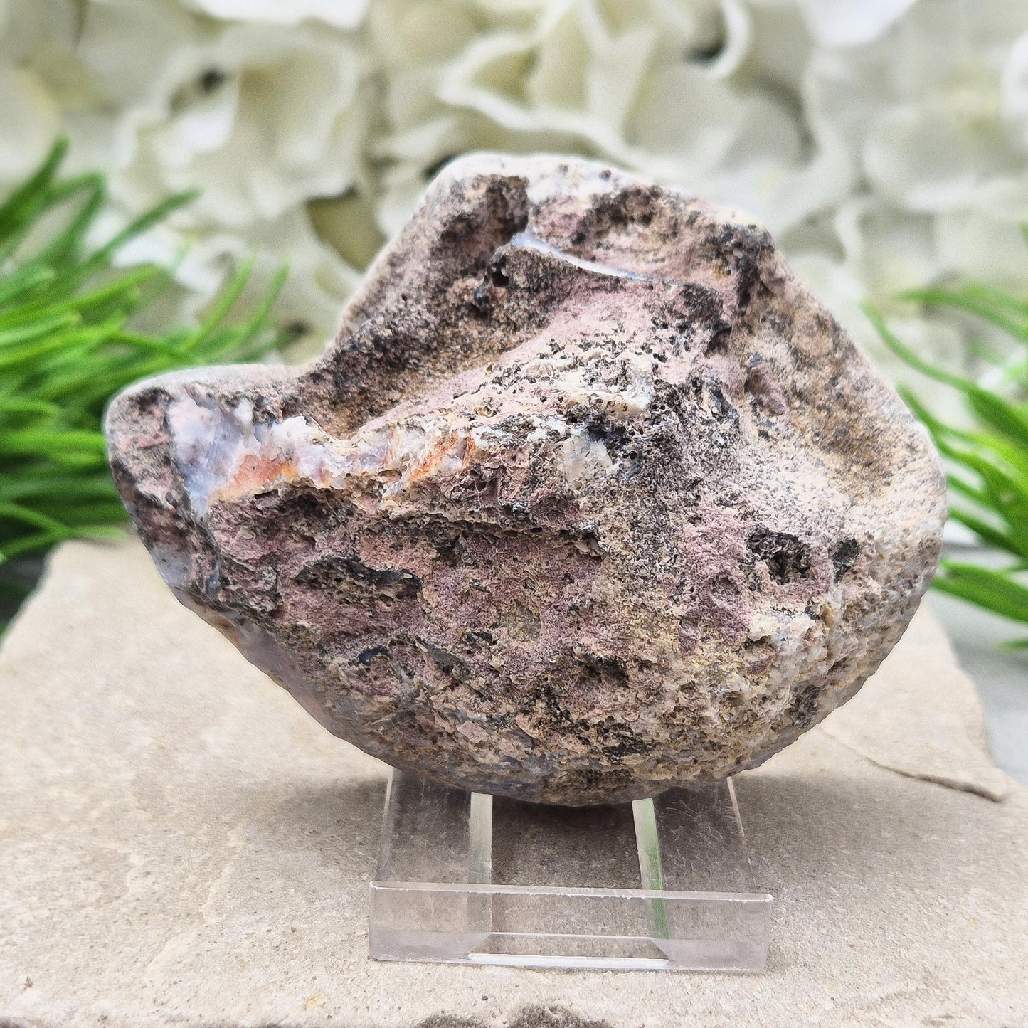 Rare Dugway Agate geode with natural banding from the Utah desert. Calming, grounding crystal—perfect for home decor or spiritual energy work.