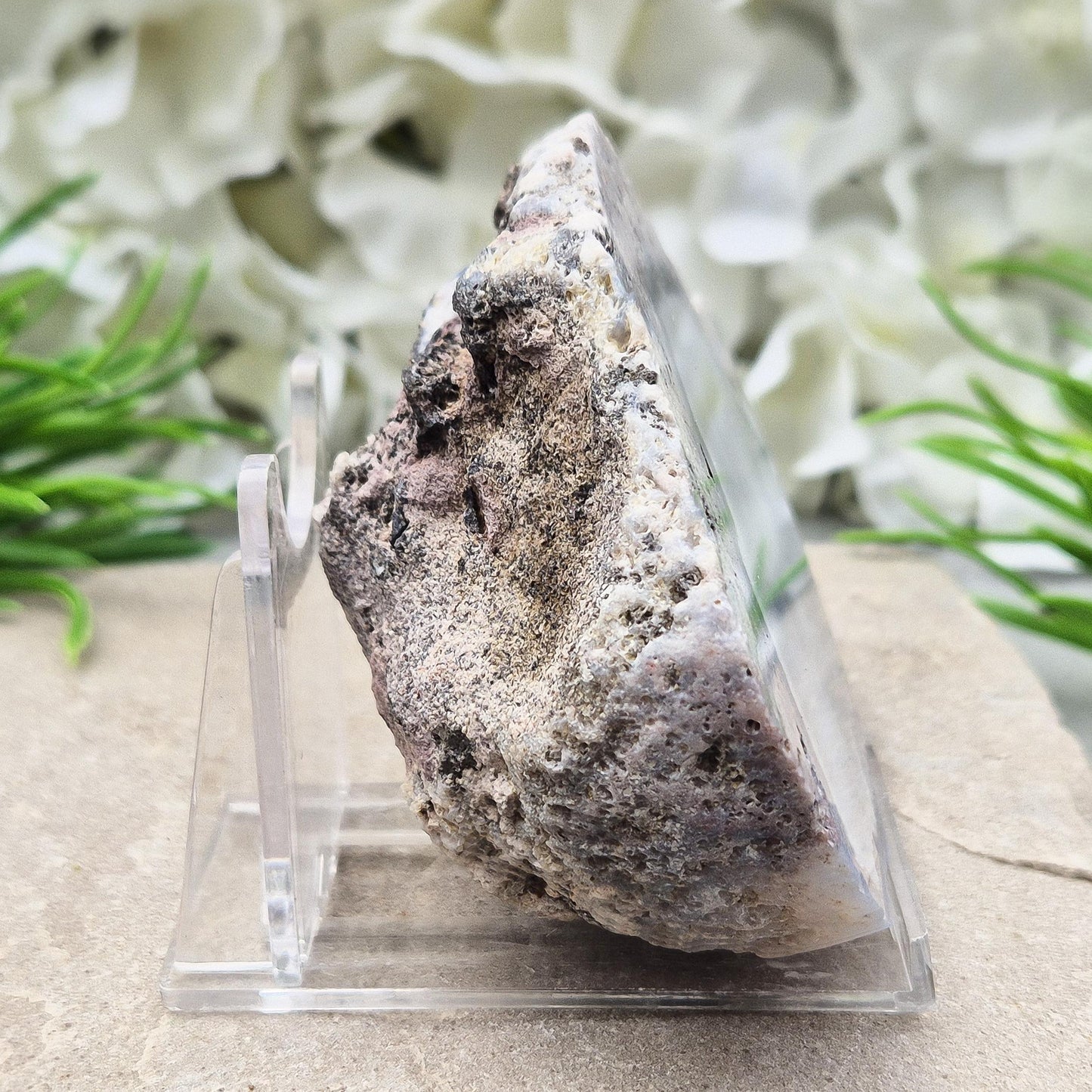 Rare Dugway Agate geode with natural banding from the Utah desert. Calming, grounding crystal—perfect for home decor or spiritual energy work.