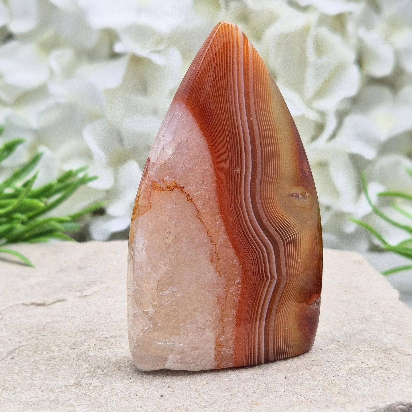 Red Banded Agate Flame with Quartz – grounding and clarifying crystal for energy work, meditation, and Feng Shui. Beautiful, polished, and unique.