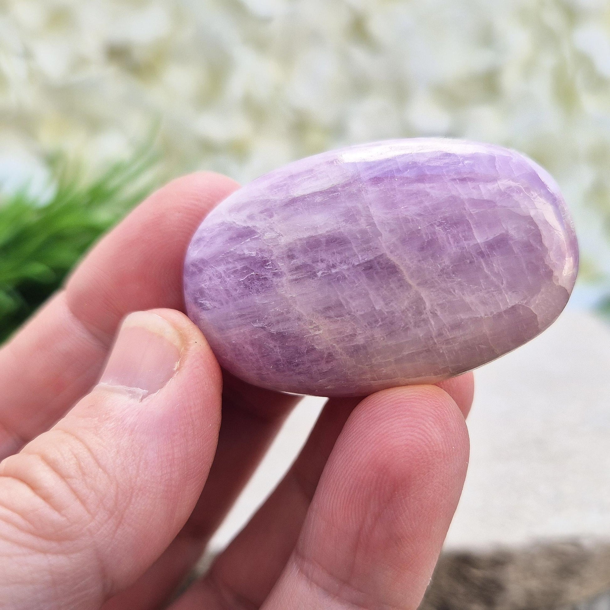 Polished lilac Kunzite palm stone. High-vibration crystal that calms the mind, opens the heart, protects the aura, and supports meditation. 