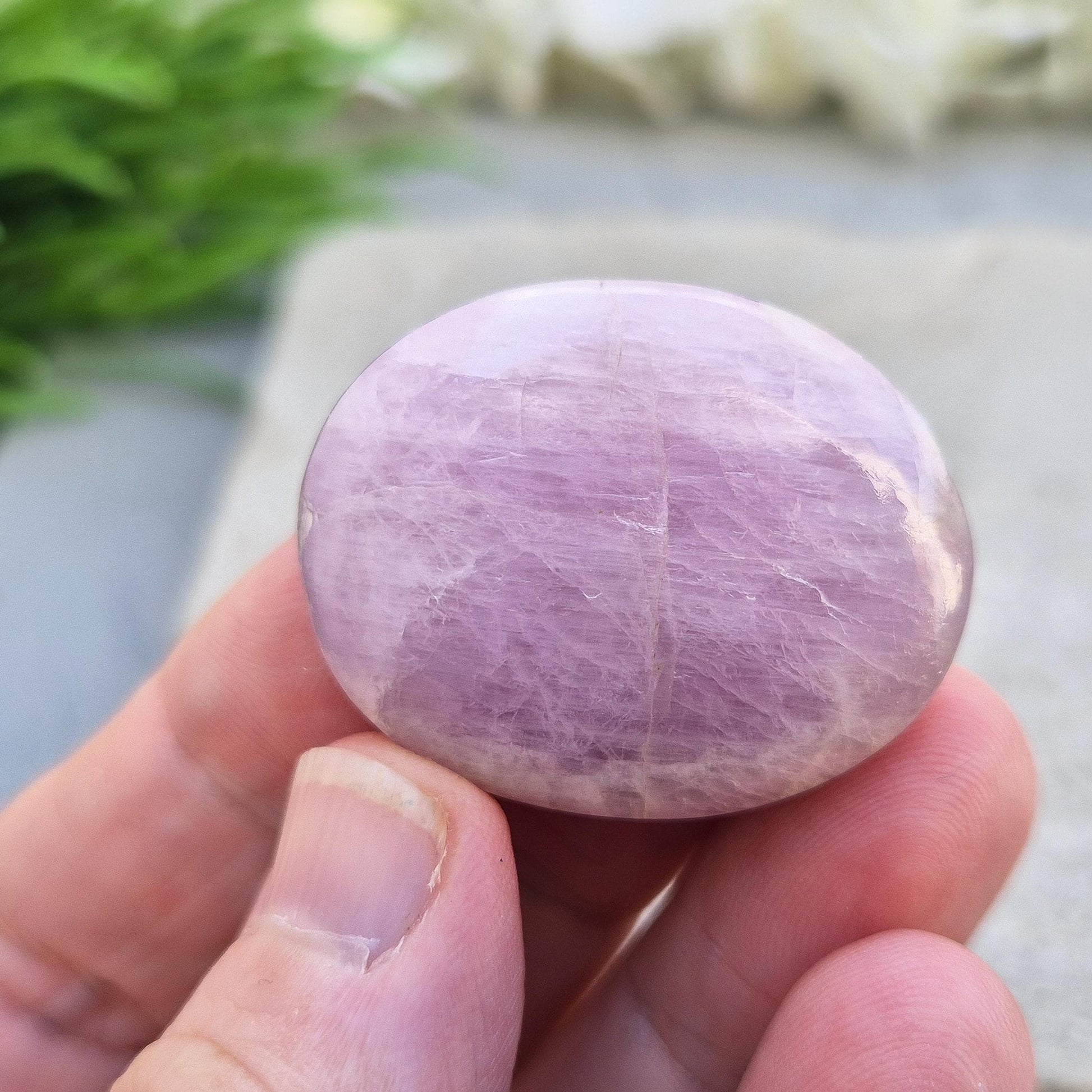 Polished lilac Kunzite palm stone. High-vibration crystal that calms the mind, opens the heart, protects the aura, and supports meditation. 