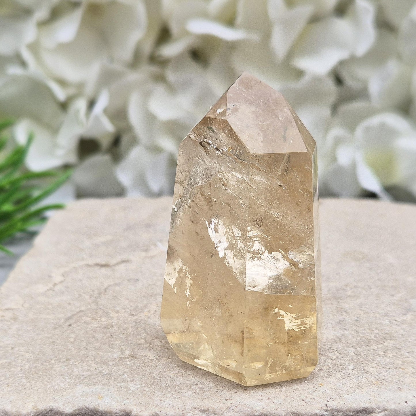 Citrine crystal point with light-reflecting inclusions. A beautiful natural piece to elevate any crystal collection. Bring joy and abundance into your life.