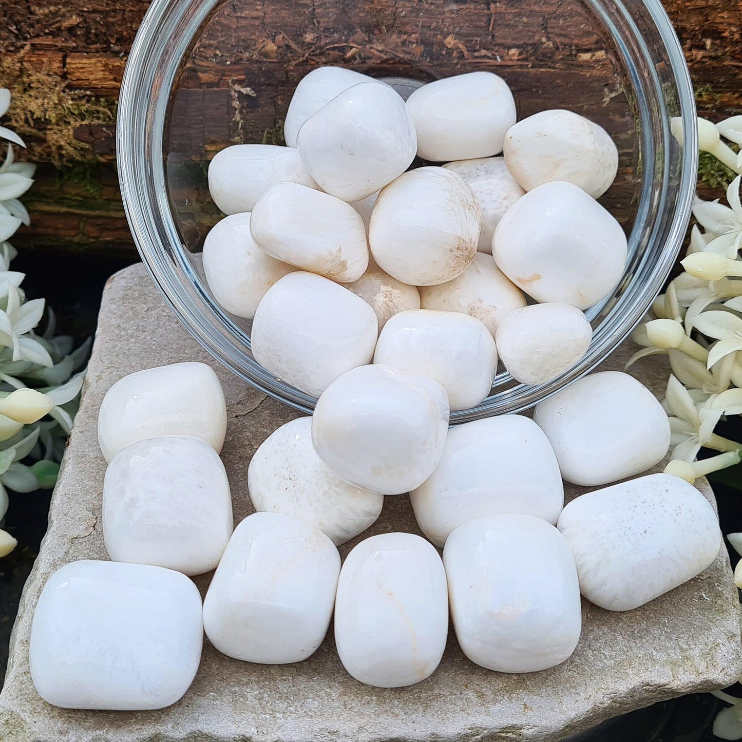 Scolecite is a calming crystal valued for its serene energy, supporting relaxation, inner peace, meditation, and deeper spiritual connections. 