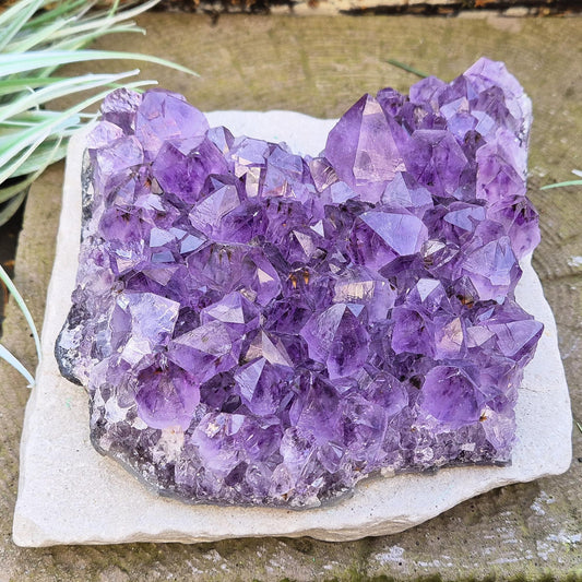 Transform your space with an Amethyst Cluster – a stunning crystal for tranquility, energy cleansing, and natural décor. Perfect for wellness & balance. 