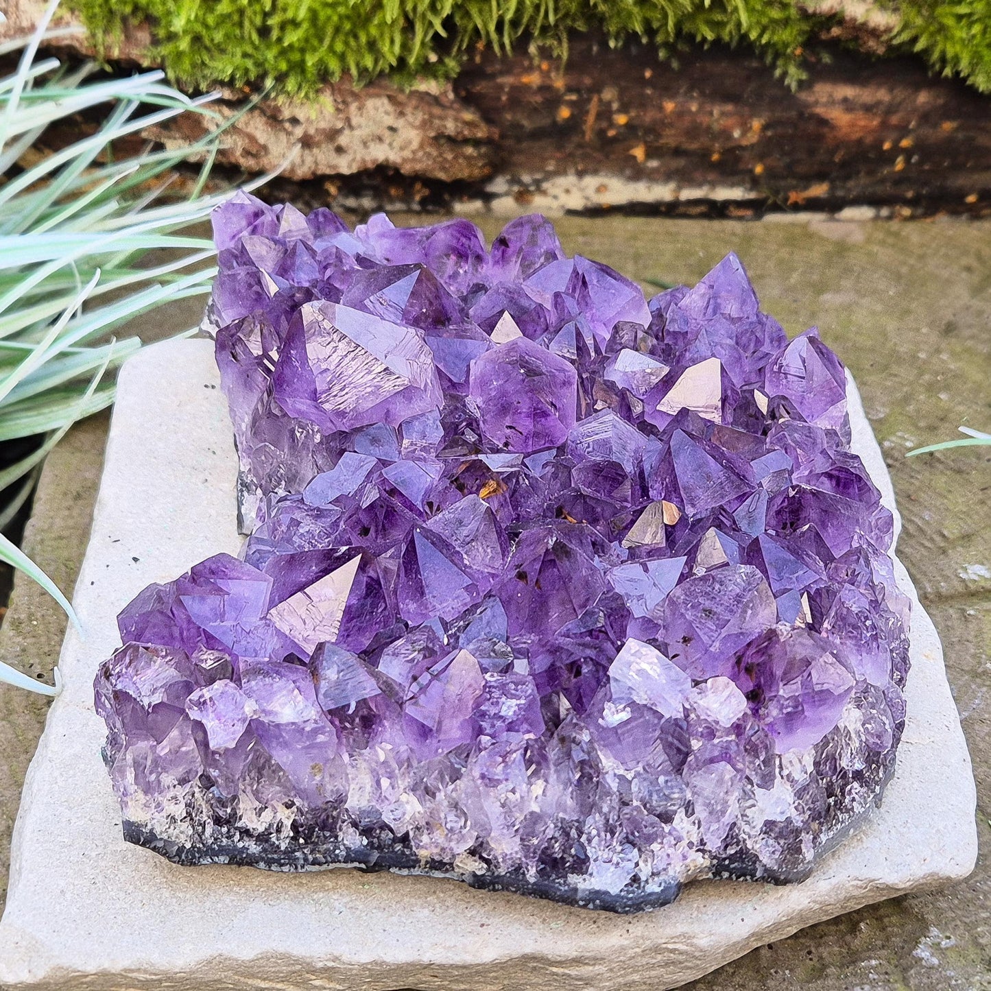 Amethyst Crystal Cluster, Third Eye, Crown Chakra Crystal