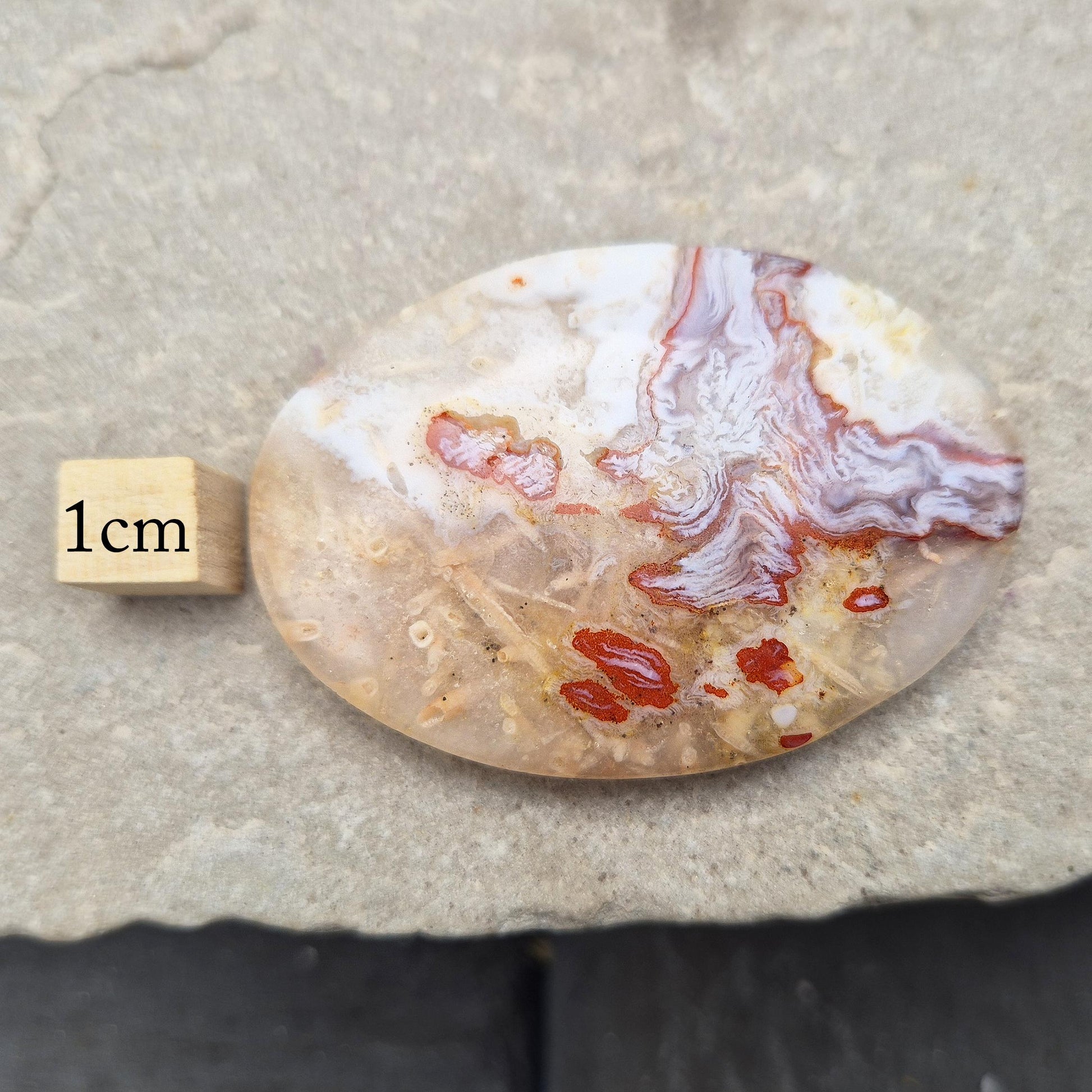 Polished Moroccan Agate palm stone – promotes grounding, resilience, and a centred, balanced feeling whenever you hold it. 