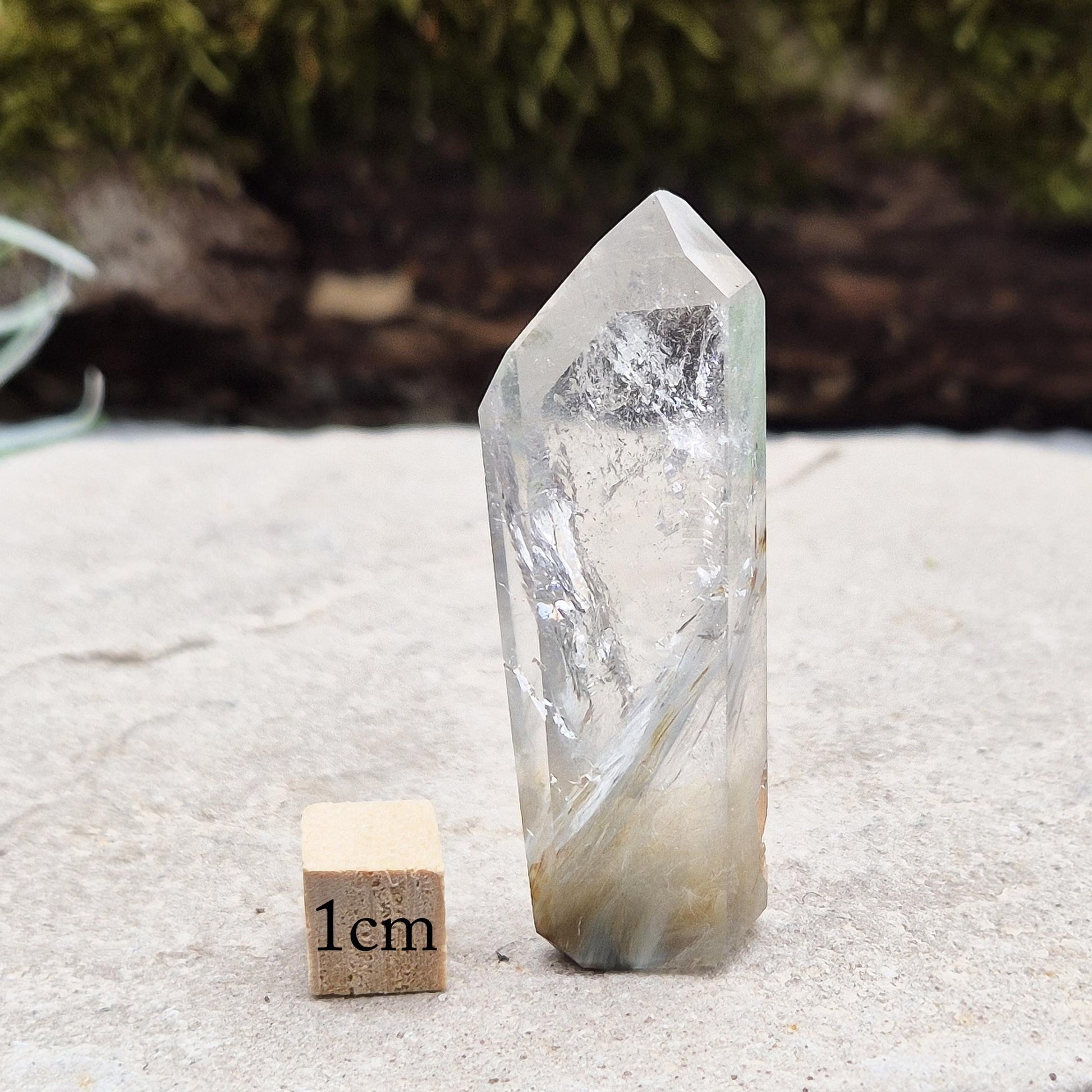 Blue Tara Palm Stone – rare Indicolite Quartz with natural blue inclusions. Perfect for collectors, meditation, and calming spaces. 