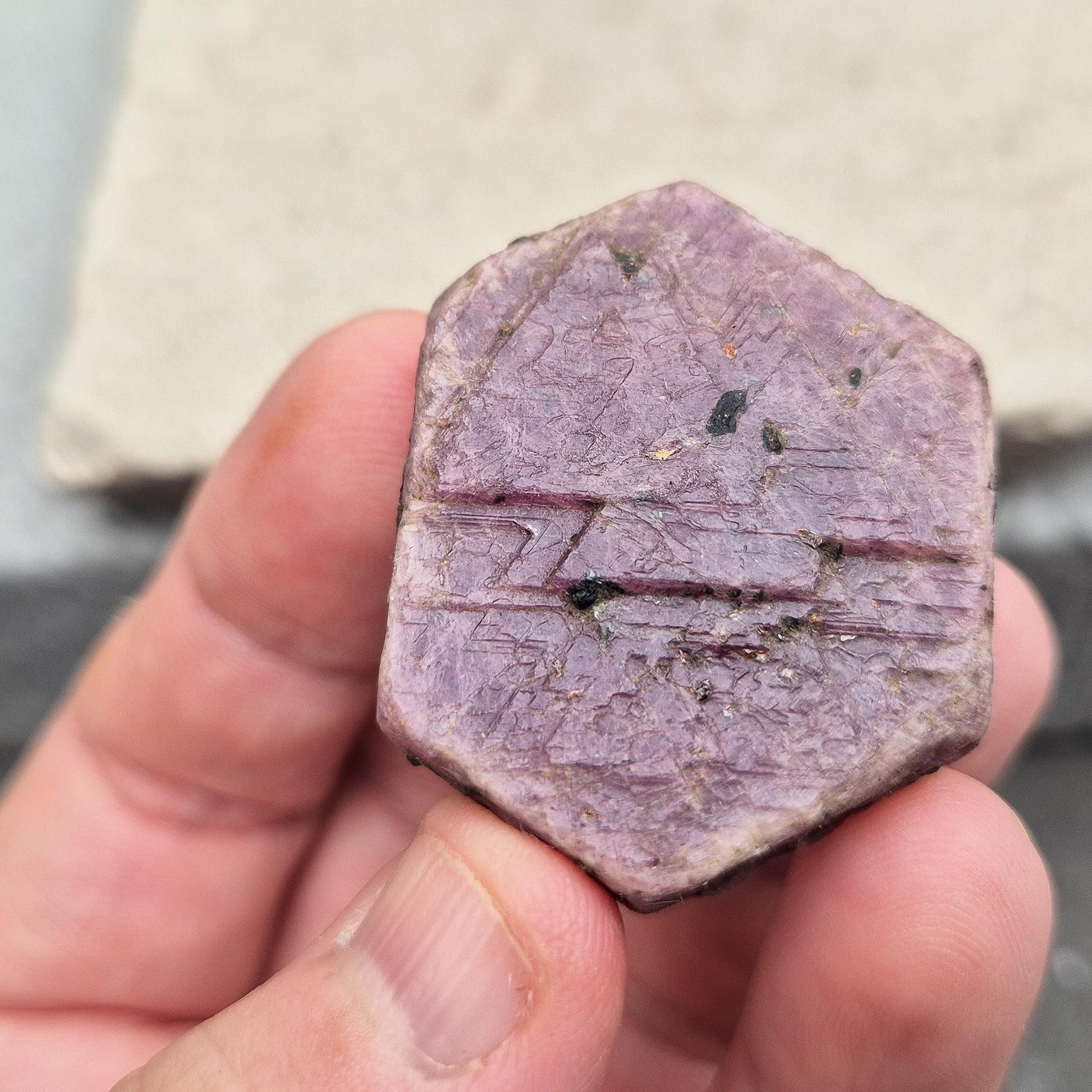 Rare Ruby Record Keeper with natural triangle markings. A deep healing stone for intuition, past life insight, courage, and soul truth. 