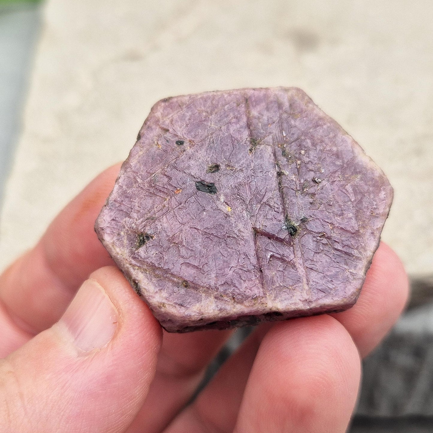 Rare Ruby Record Keeper with natural triangle markings. A deep healing stone for intuition, past life insight, courage, and soul truth. 