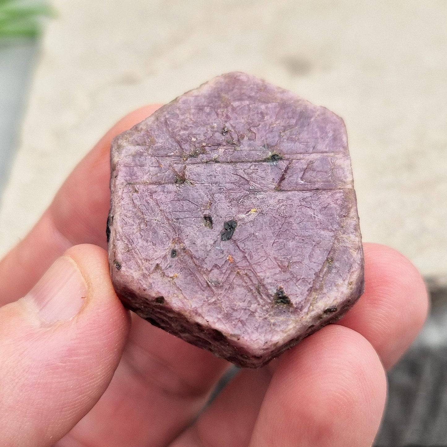 Rare Ruby Record Keeper with natural triangle markings. A deep healing stone for intuition, past life insight, courage, and soul truth. 