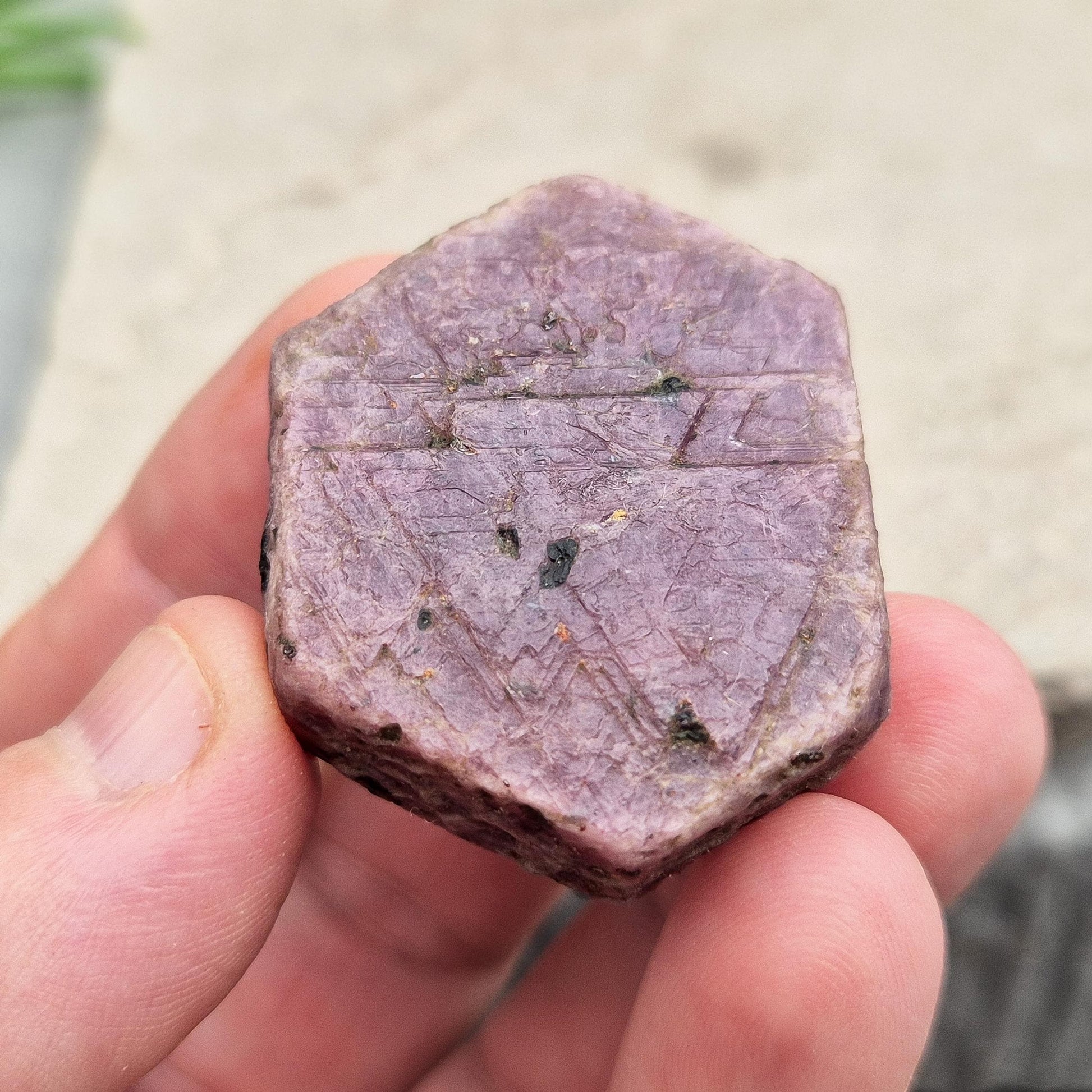 Rare Ruby Record Keeper with natural triangle markings. A deep healing stone for intuition, past life insight, courage, and soul truth. 