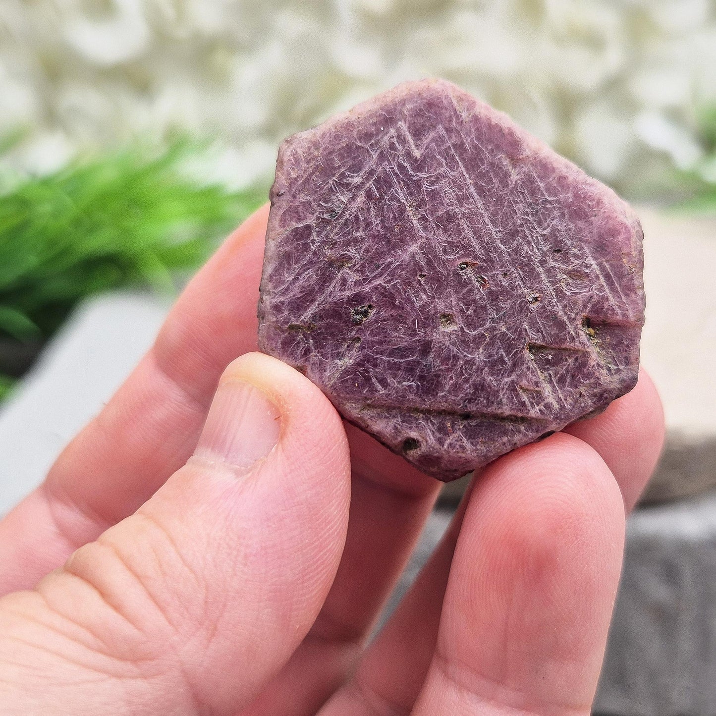 Rare Ruby Record Keeper with natural triangle markings. A deep healing stone for intuition, past life insight, courage, and soul truth. 