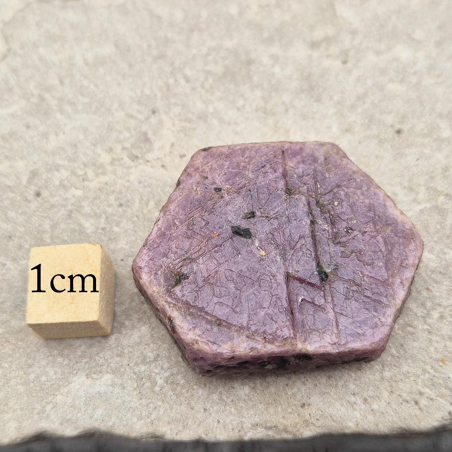 Rare Ruby Record Keeper with natural triangle markings. A deep healing stone for intuition, past life insight, courage, and soul truth. 