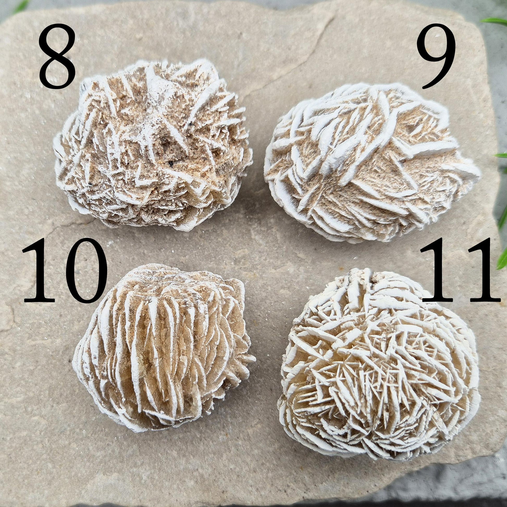 Natural Desert Rose Selenite from Mexico. A calming, grounding crystal that clears the mind, eases stress, and supports spiritual growth.