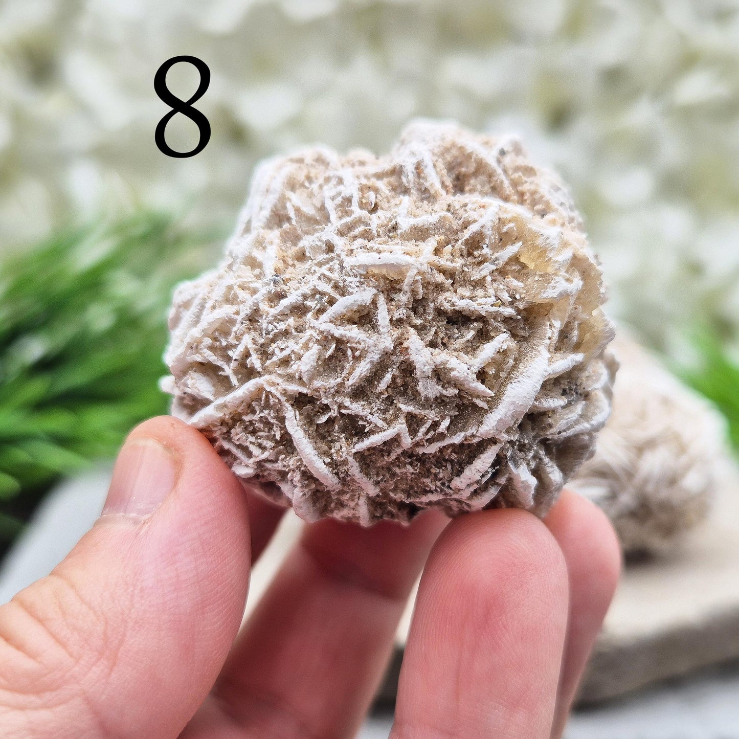 Natural Desert Rose Selenite from Mexico. A calming, grounding crystal that clears the mind, eases stress, and supports spiritual growth.