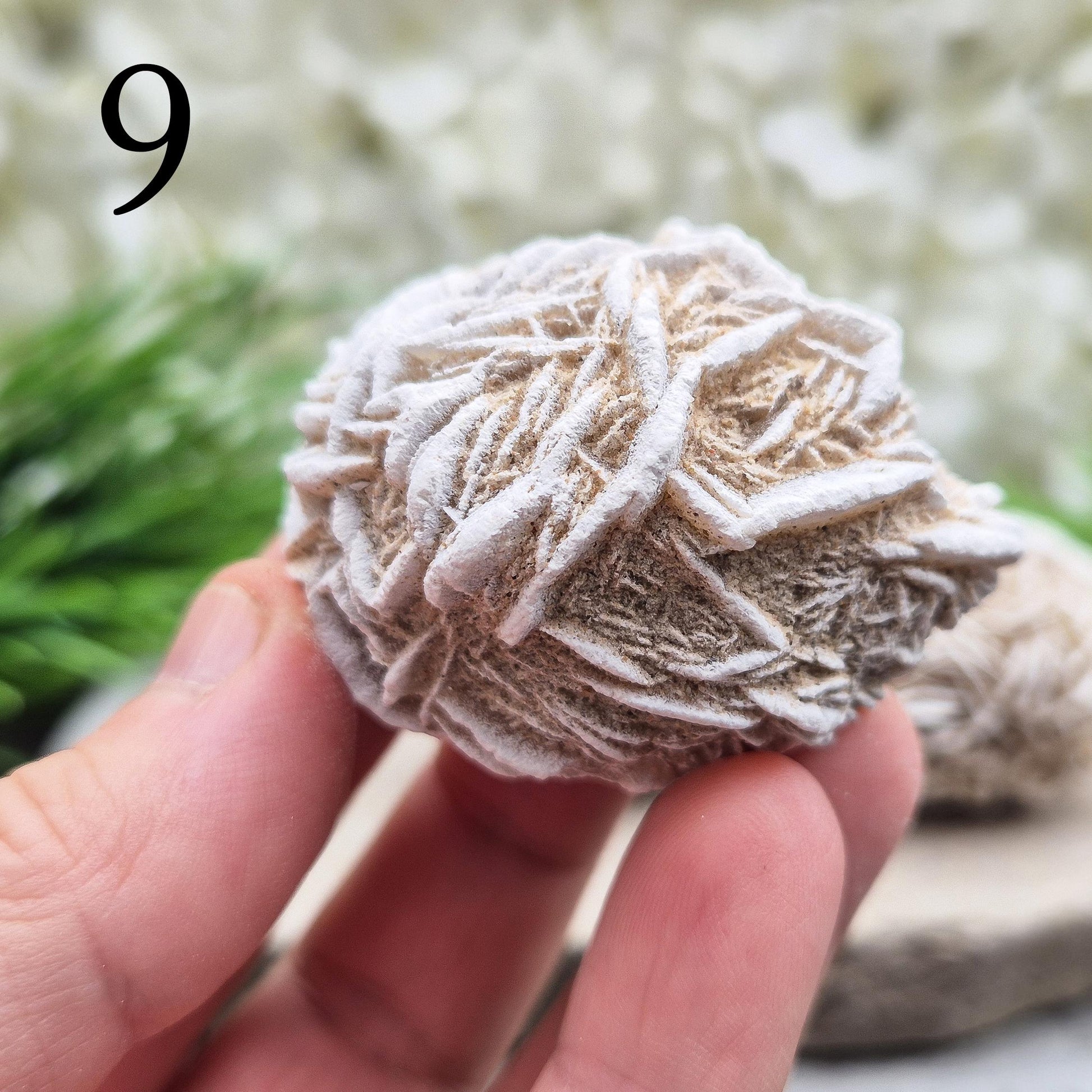 Natural Desert Rose Selenite from Mexico. A calming, grounding crystal that clears the mind, eases stress, and supports spiritual growth.