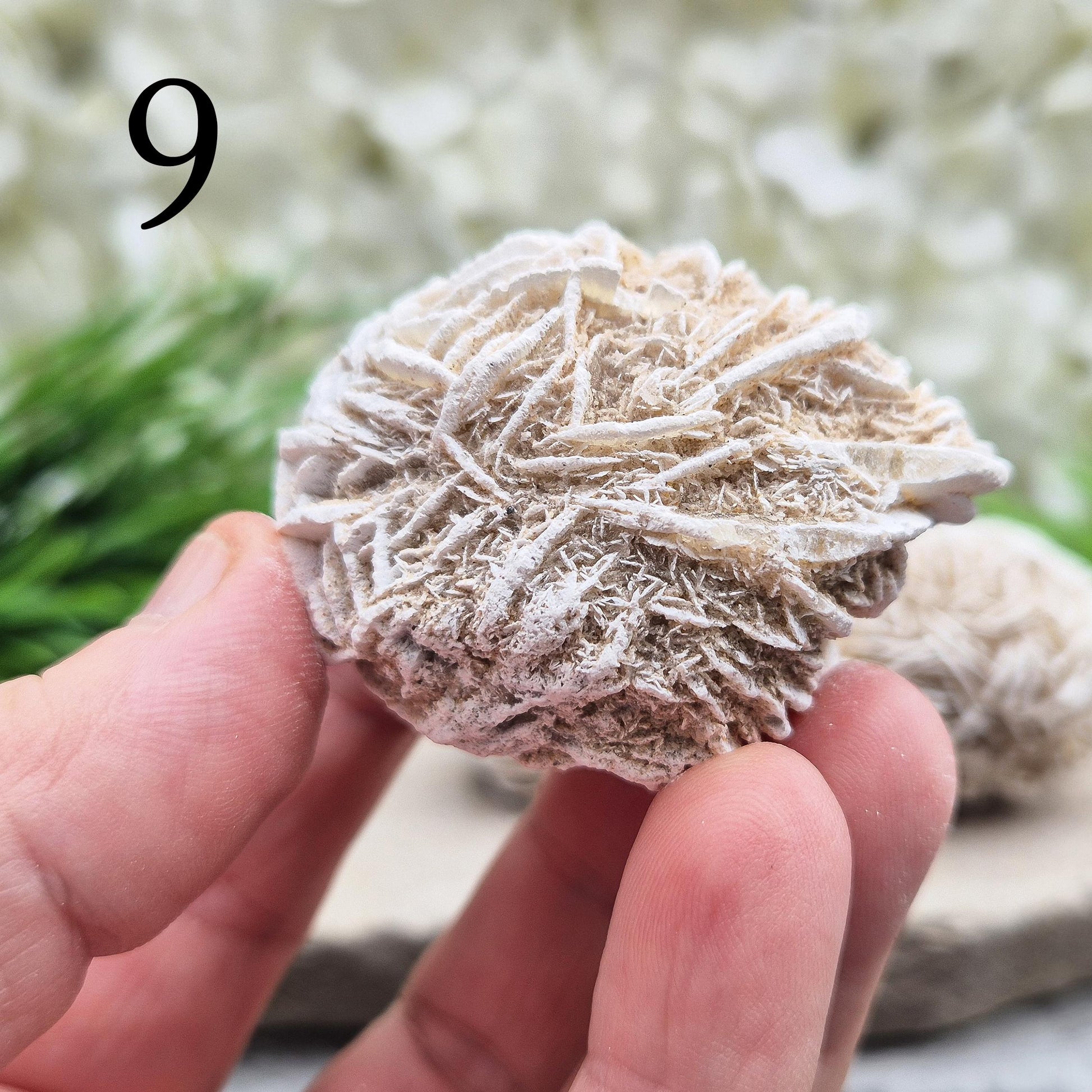 Natural Desert Rose Selenite from Mexico. A calming, grounding crystal that clears the mind, eases stress, and supports spiritual growth.