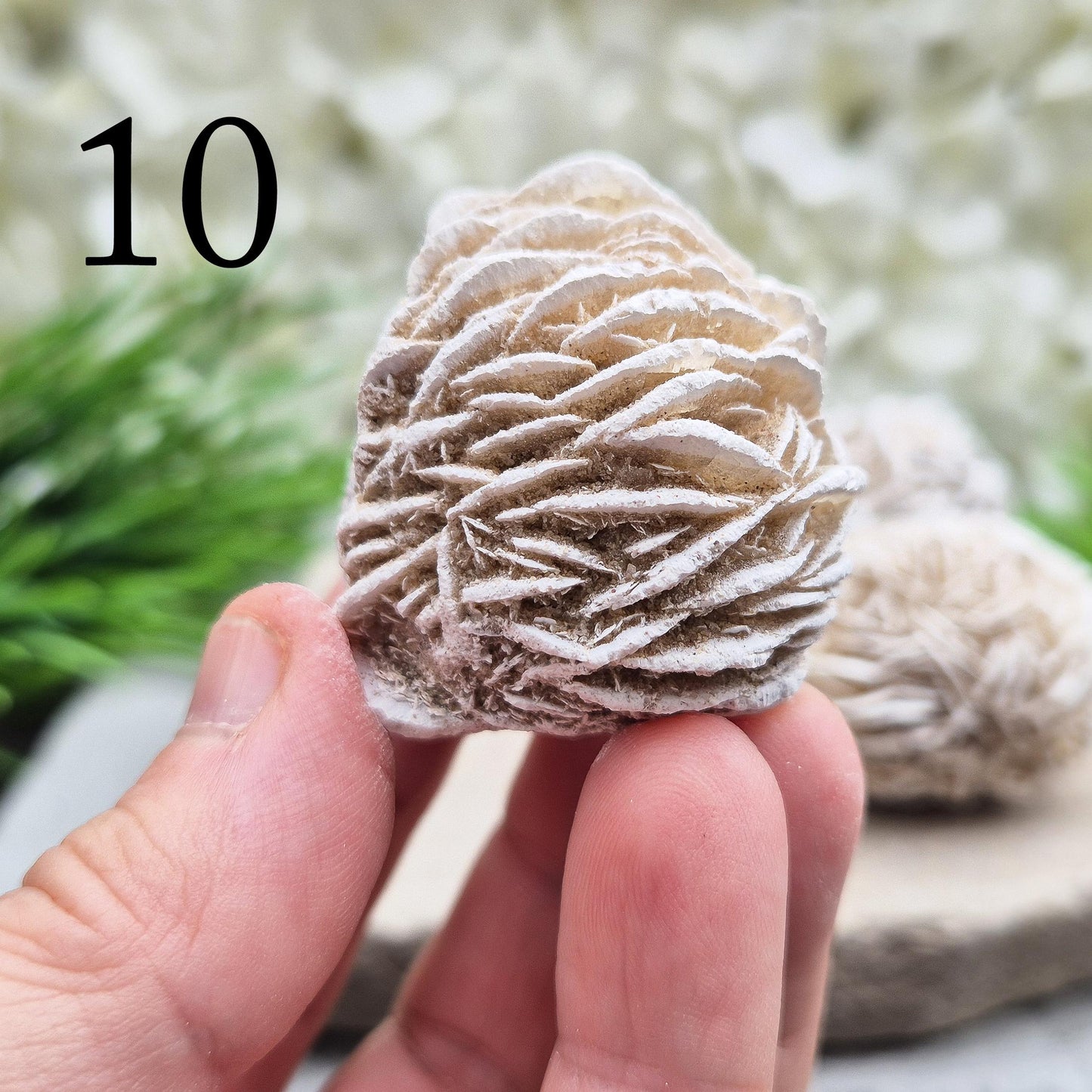 Desert Rose Crystal, Selenite rosette-shaped clusters
