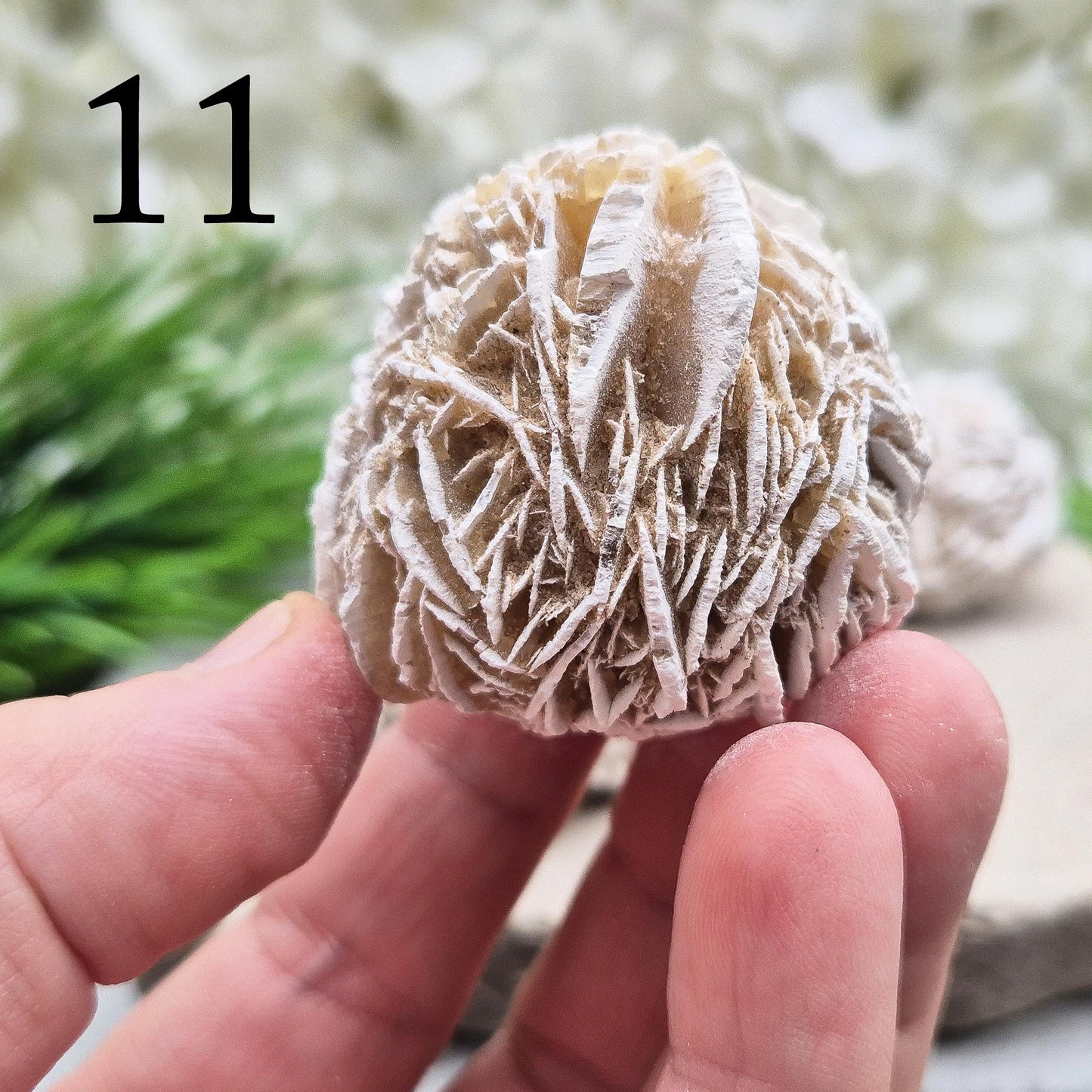 Desert Rose Crystal, Selenite rosette-shaped clusters