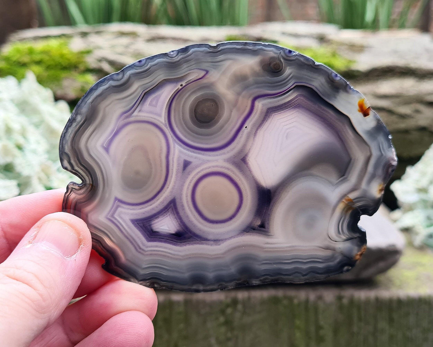 Agate Crystal - Polished Slice With Stand Included | Unique Home Decor Display