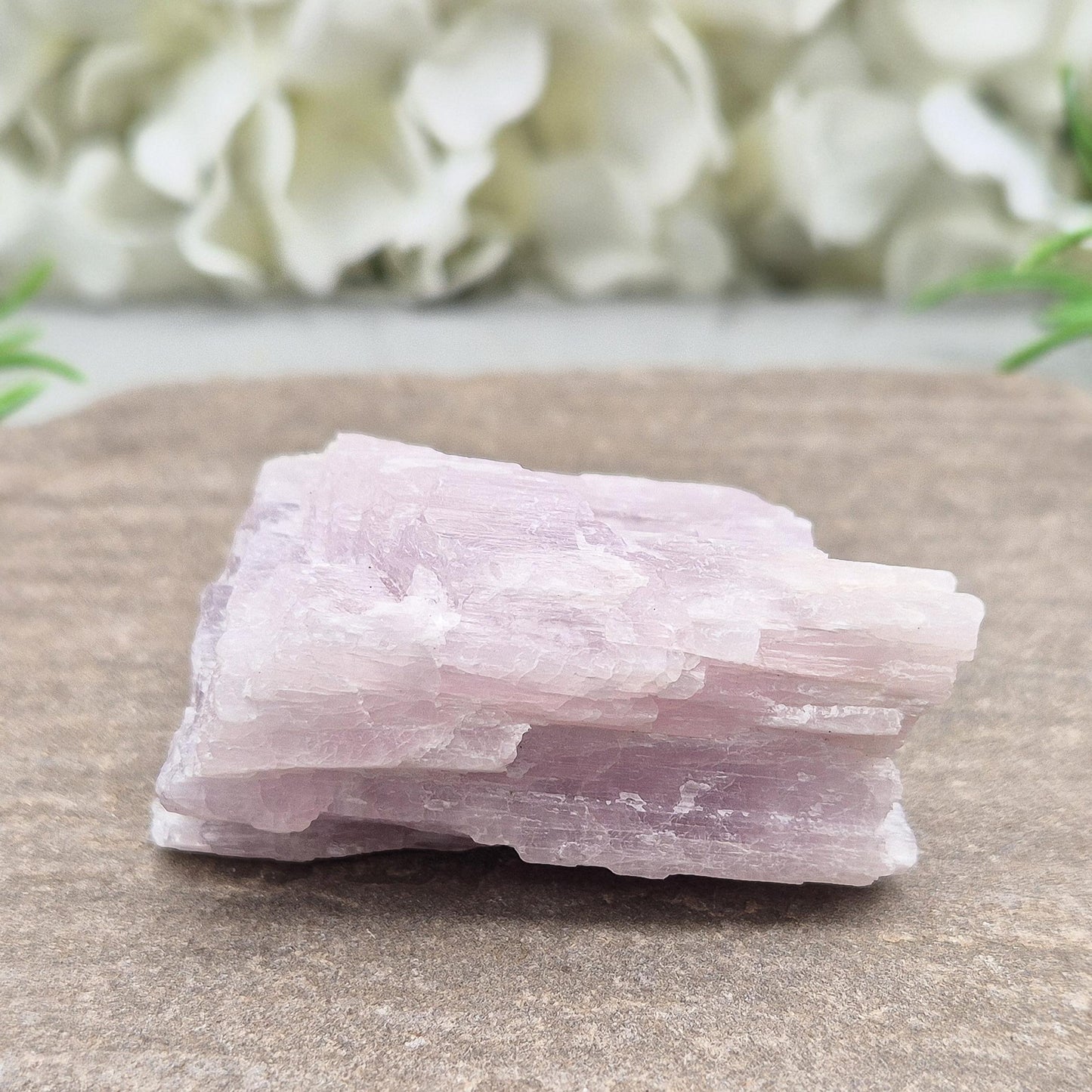 Kunzite Crystal - Natural Pink-Lilac Gemstone